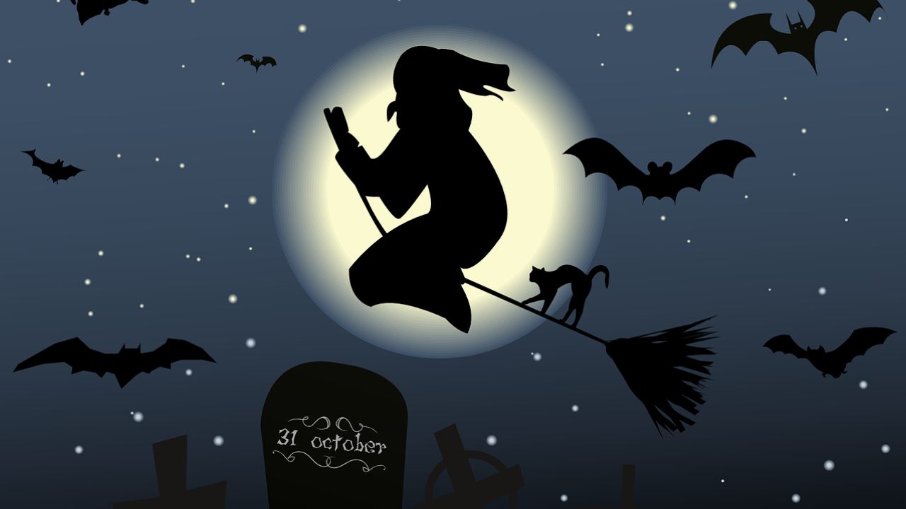 A witch flying on a broomstick with a cat at night. - Halloween desktop, computer
