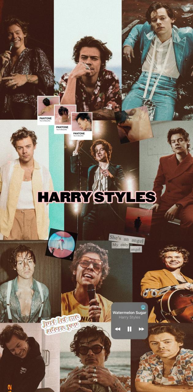 A collage of Harry Styles pictures - Harry Styles