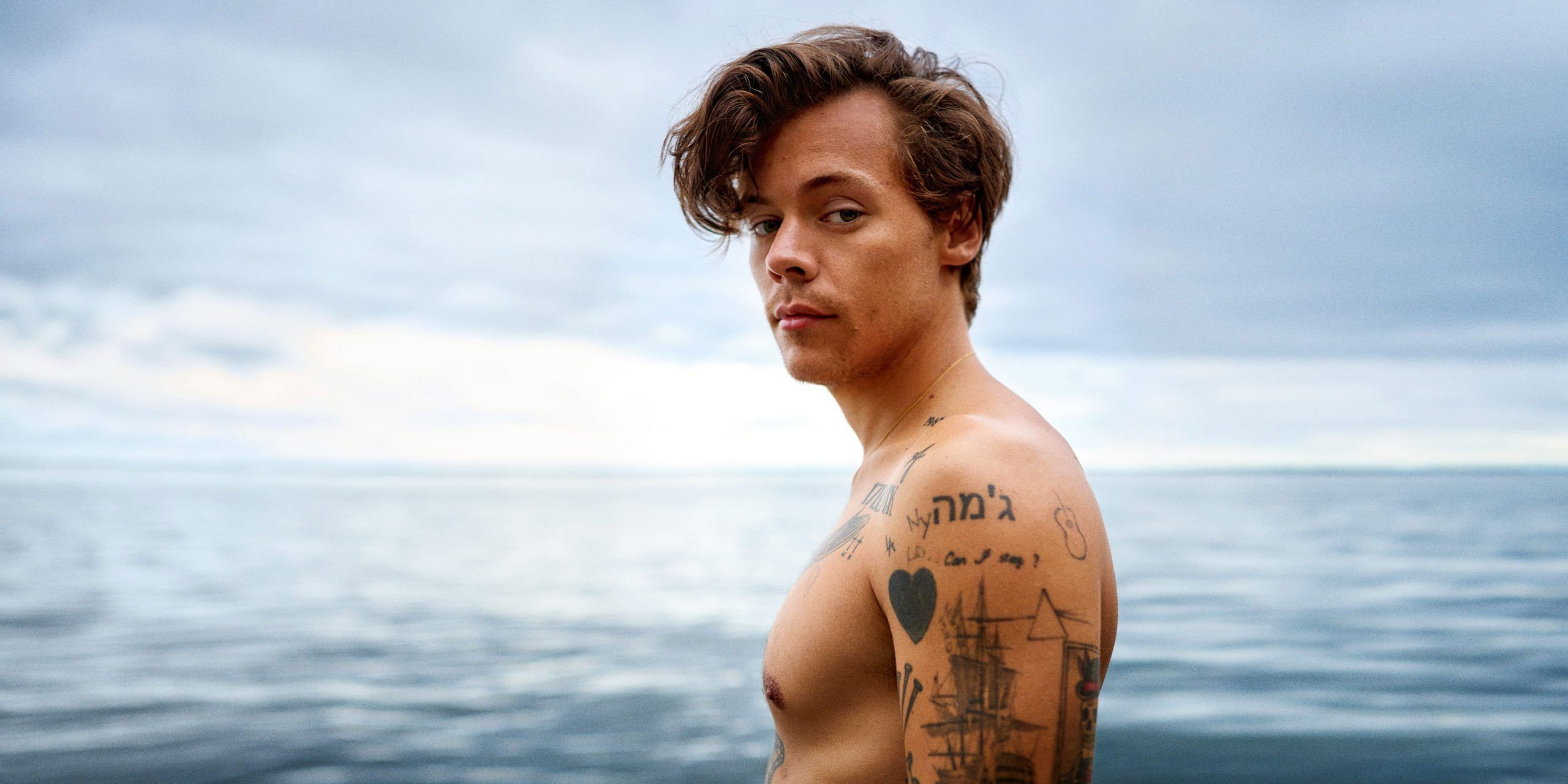 Harry Styles shirtless standing in front of the ocean - Harry Styles