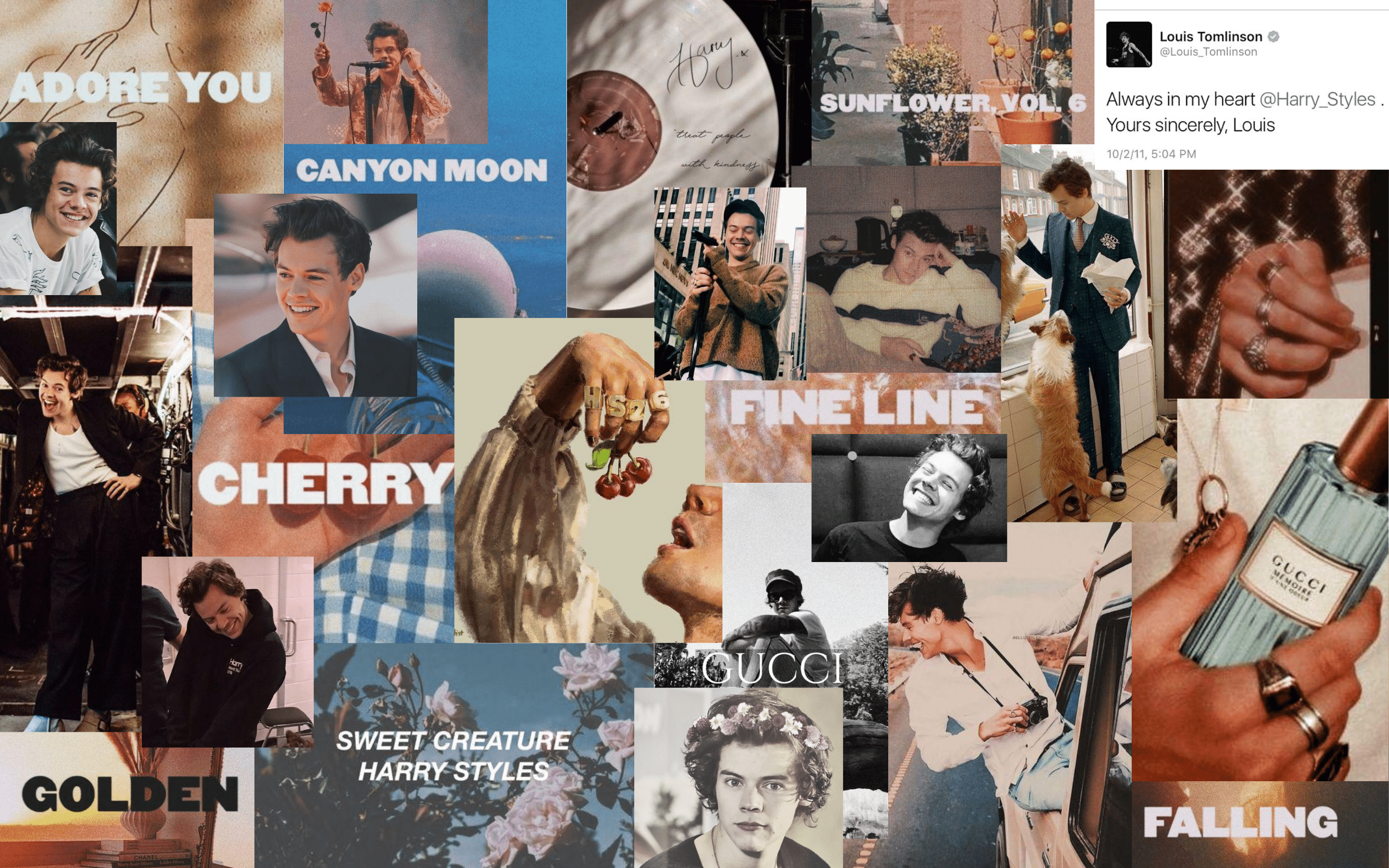 A collage of pictures on the internet - Harry Styles