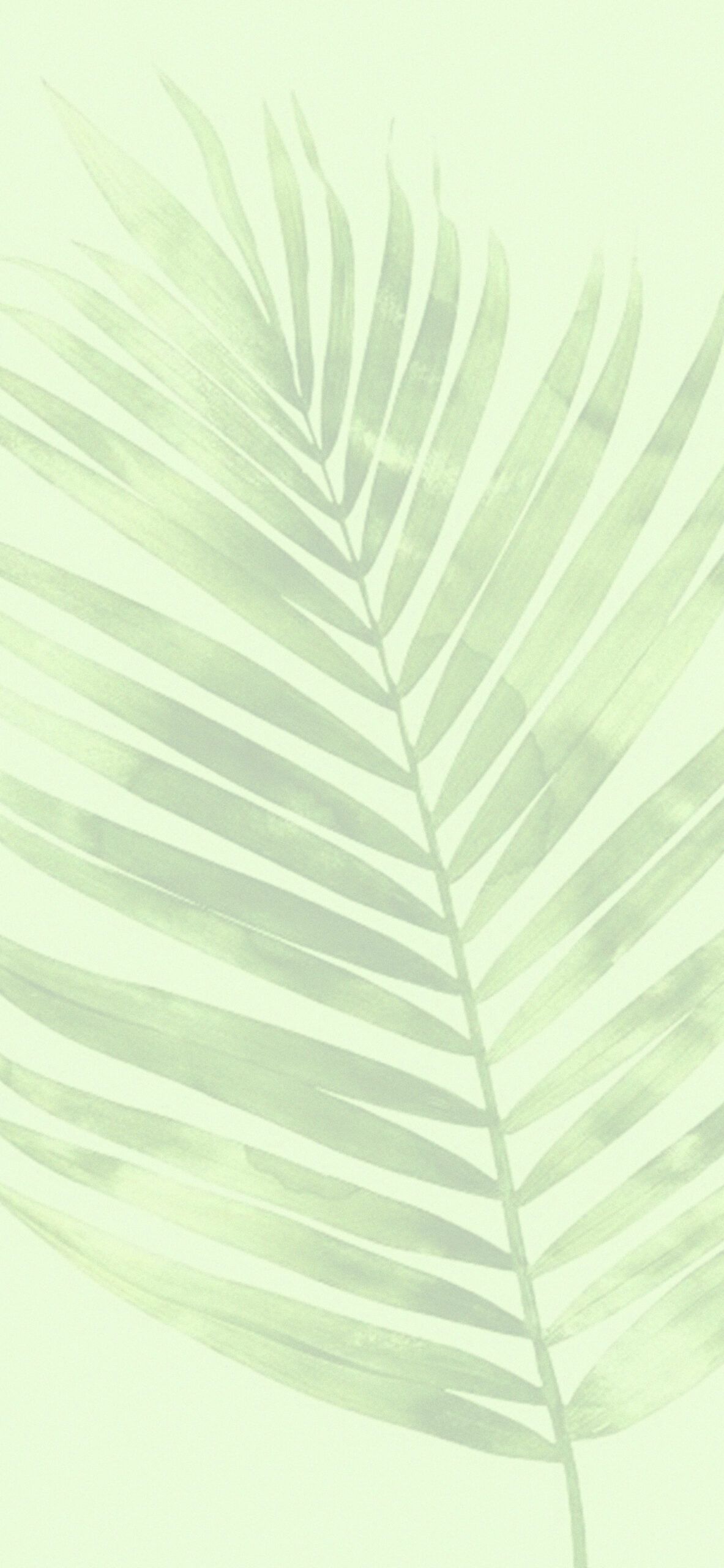 A palm leaf painted in a pastel green color. - Soft green, green, light green, pastel green