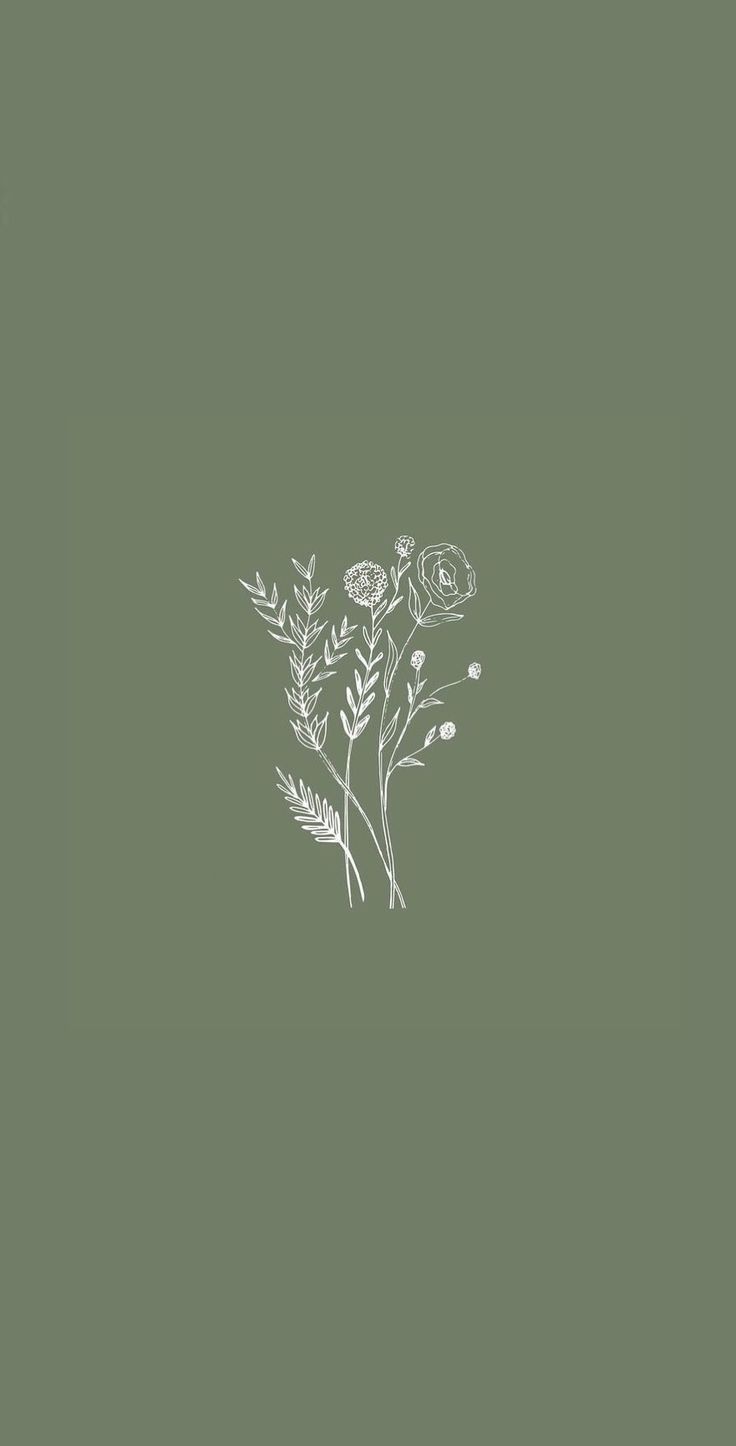 A green background with a white illustration of flowers - Soft green