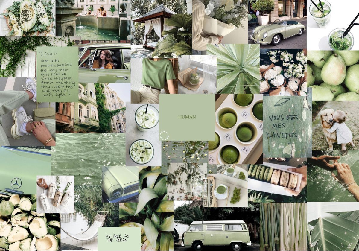 A collage of green and white images - Sage green, soft green, light green