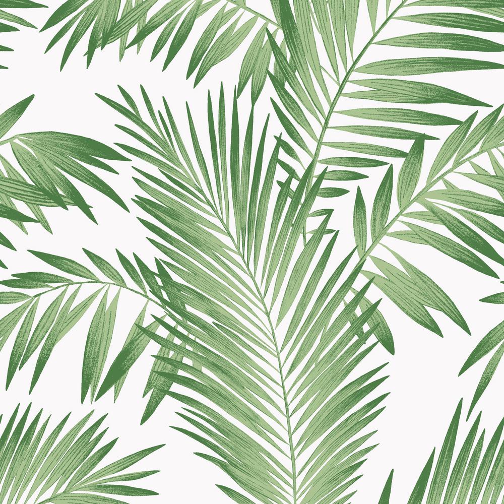 Free download Tropical Palm Green Wallpaper Palm Leaves Aesthetic Background [1000x1000] for your Desktop, Mobile & Tablet. Explore Wallpaper Aesthetic Green. Green Wallpaper Green Green Lmage, Green Wallpaper Green