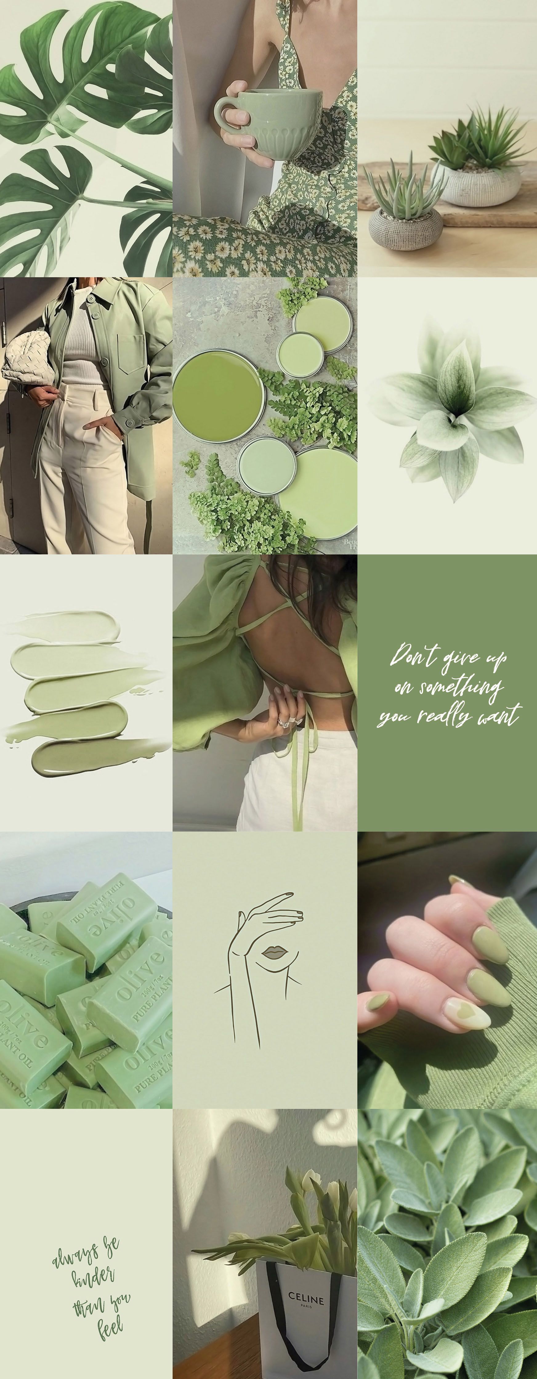A collage of pictures with green leaves - Sage green, soft green