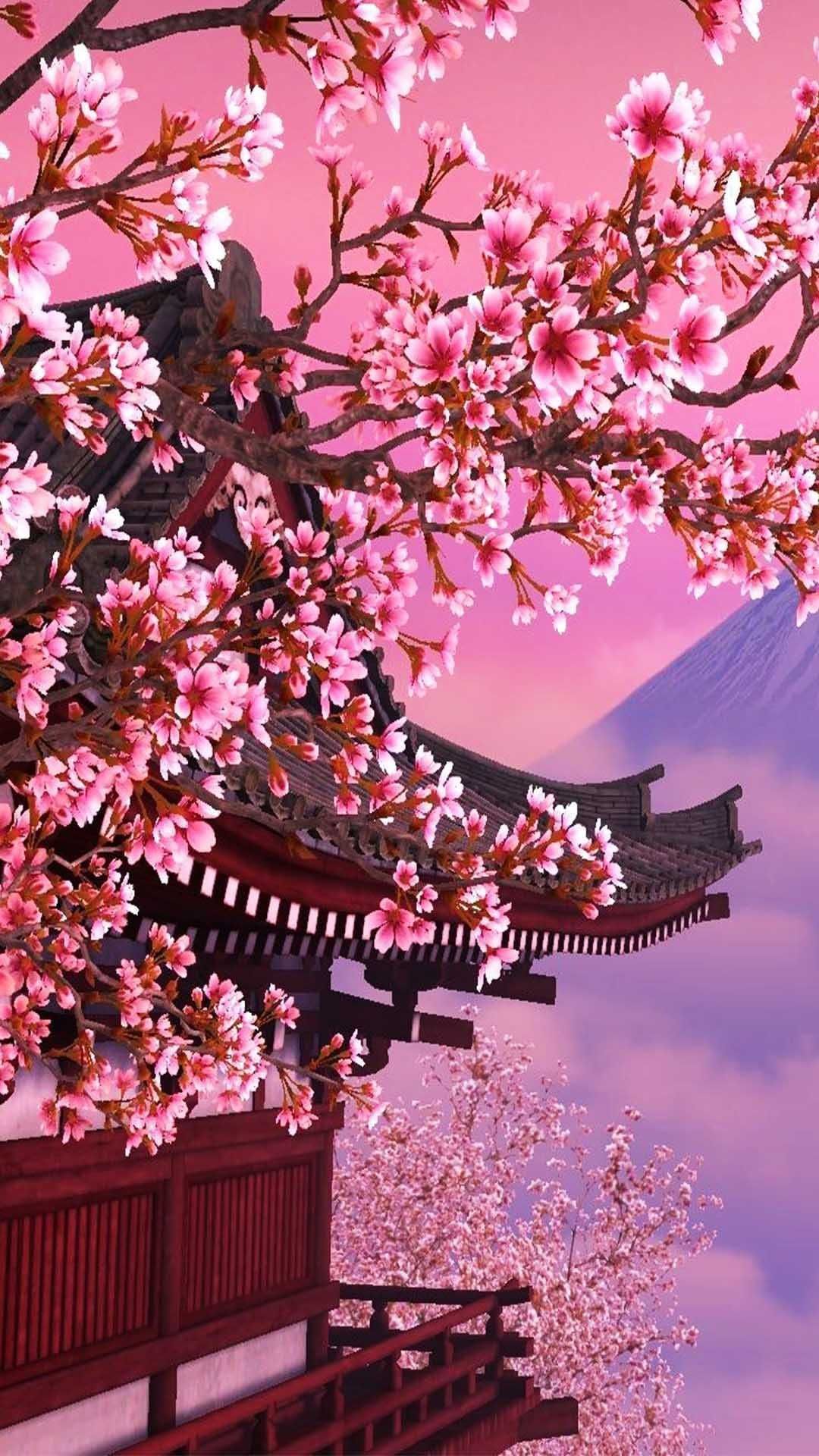 Cherry Blossom Wallpaper Discover more Cherry Blossom, China, Flower, Fruit, Japanese wa. Cherry blossom wallpaper, Japanese wallpaper iphone, Japanese background