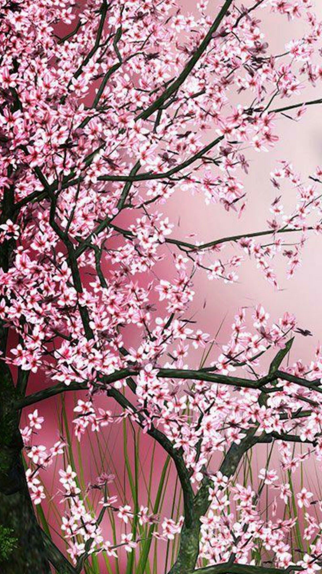 A pink tree with white flowers in the background - Cherry blossom