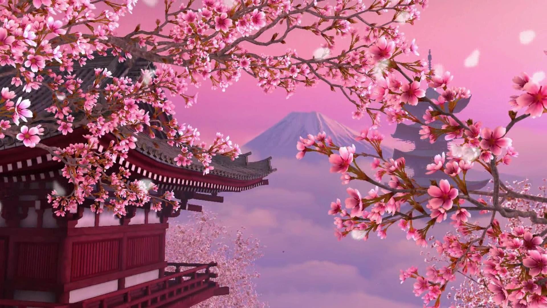 A pink and purple Japanese temple with cherry blossoms in front of it and a mountain in the background. - Cherry blossom