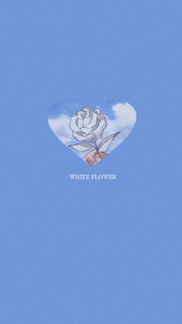 A white rose on blue background - Blue anime