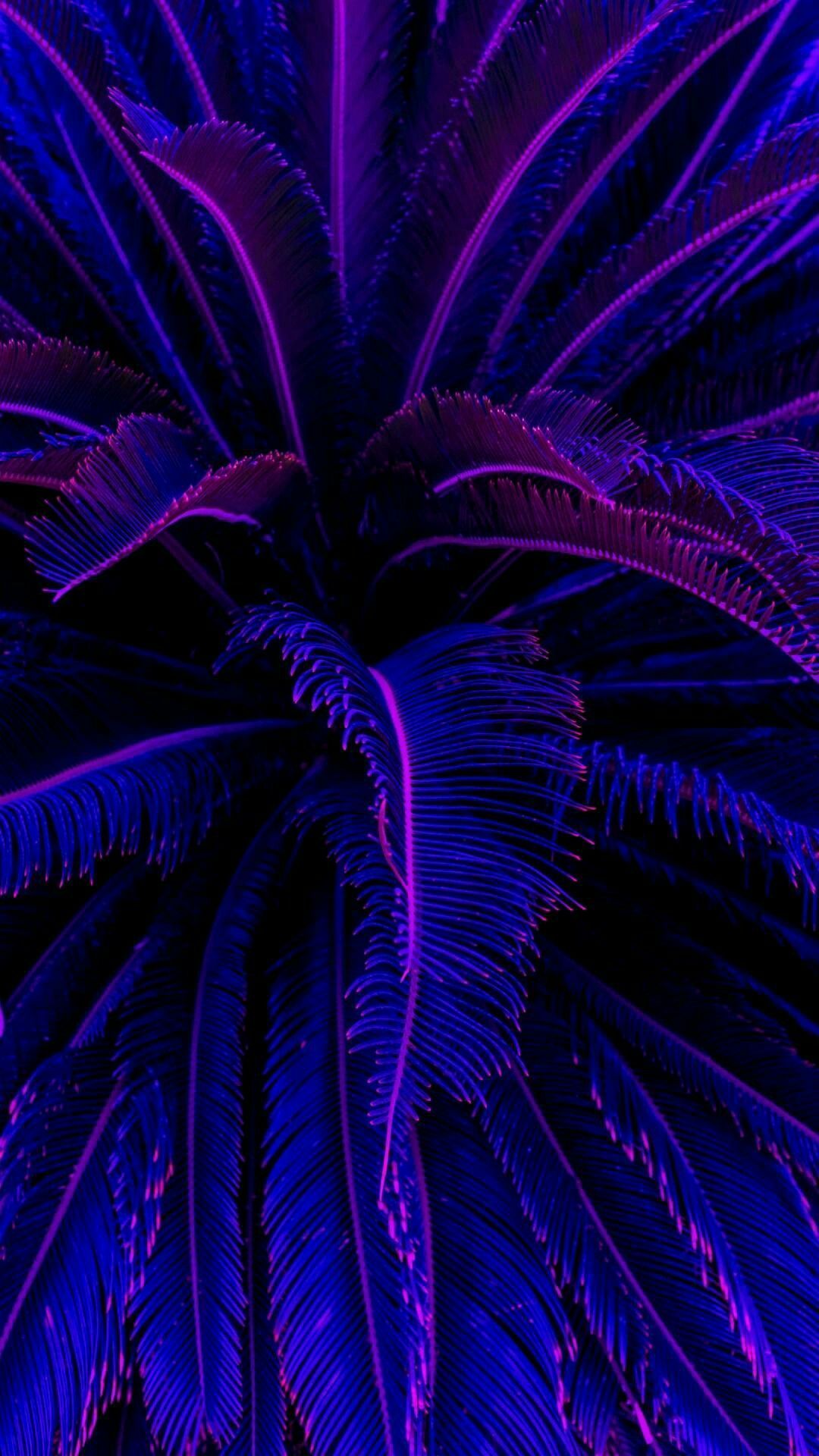 Neon Blue Aesthetic Wallpaper for Mobile