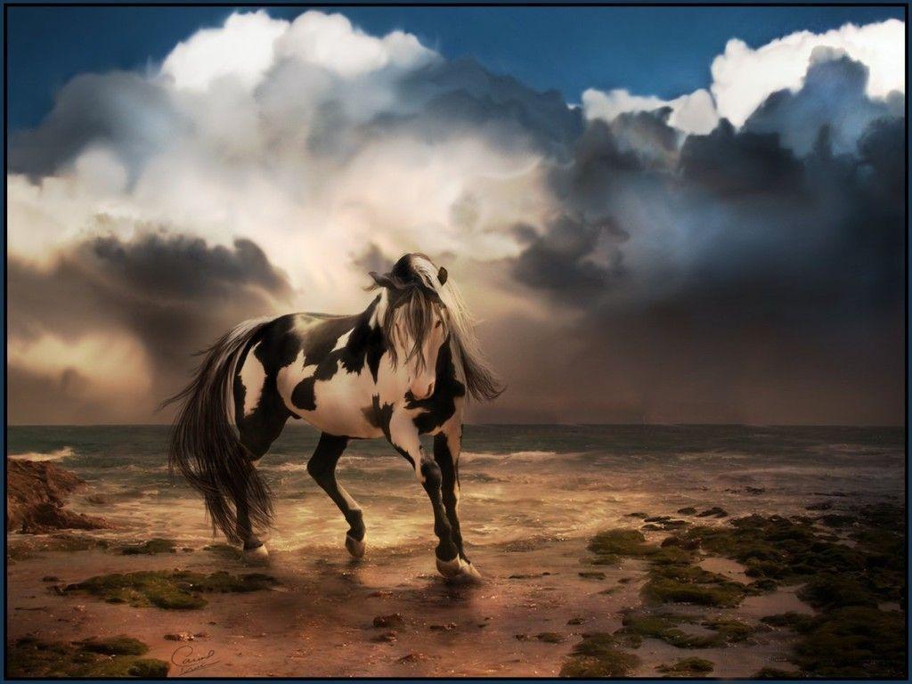 Free Horse Background