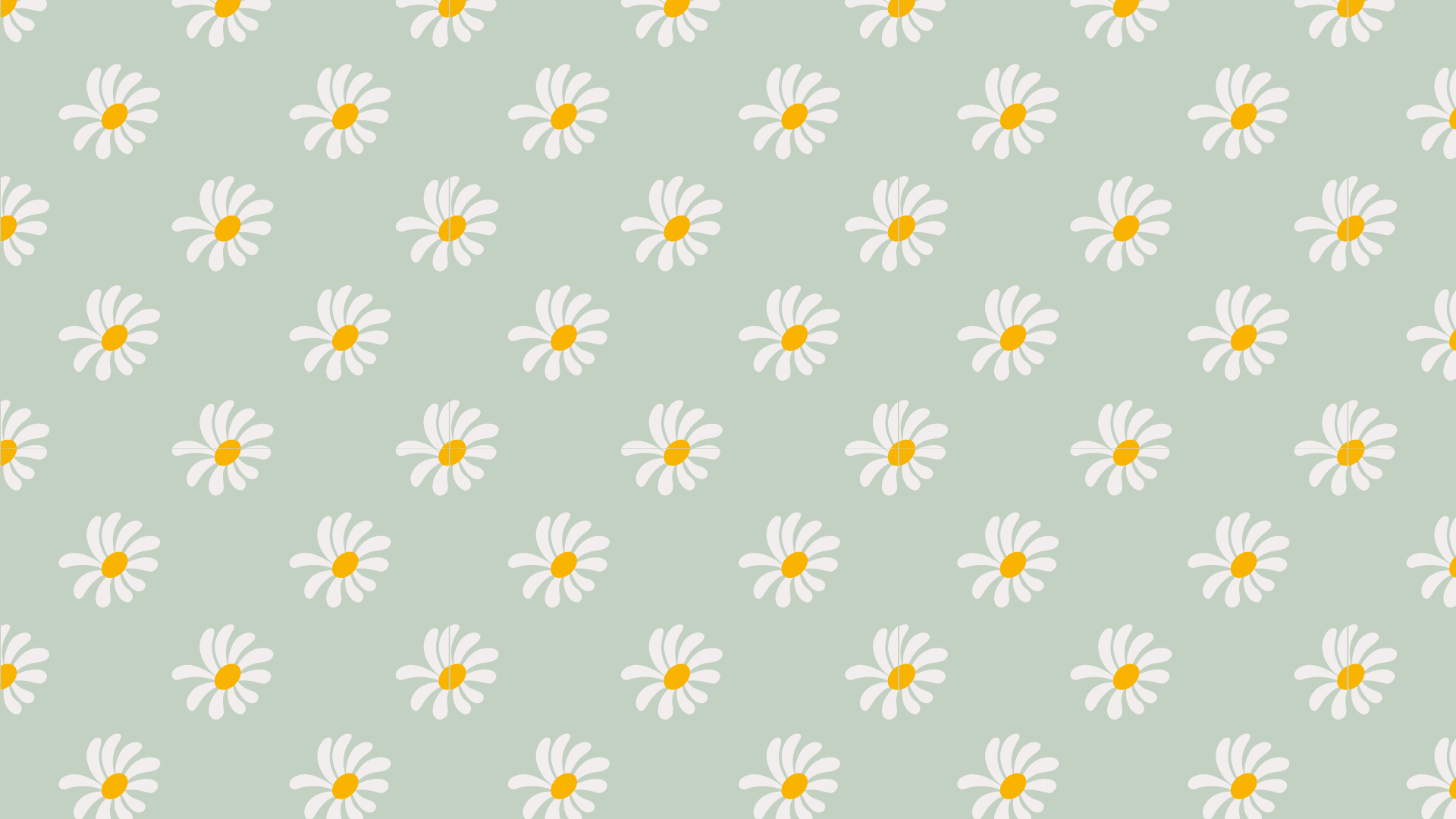A pattern of daisies on green background - Green, sage green