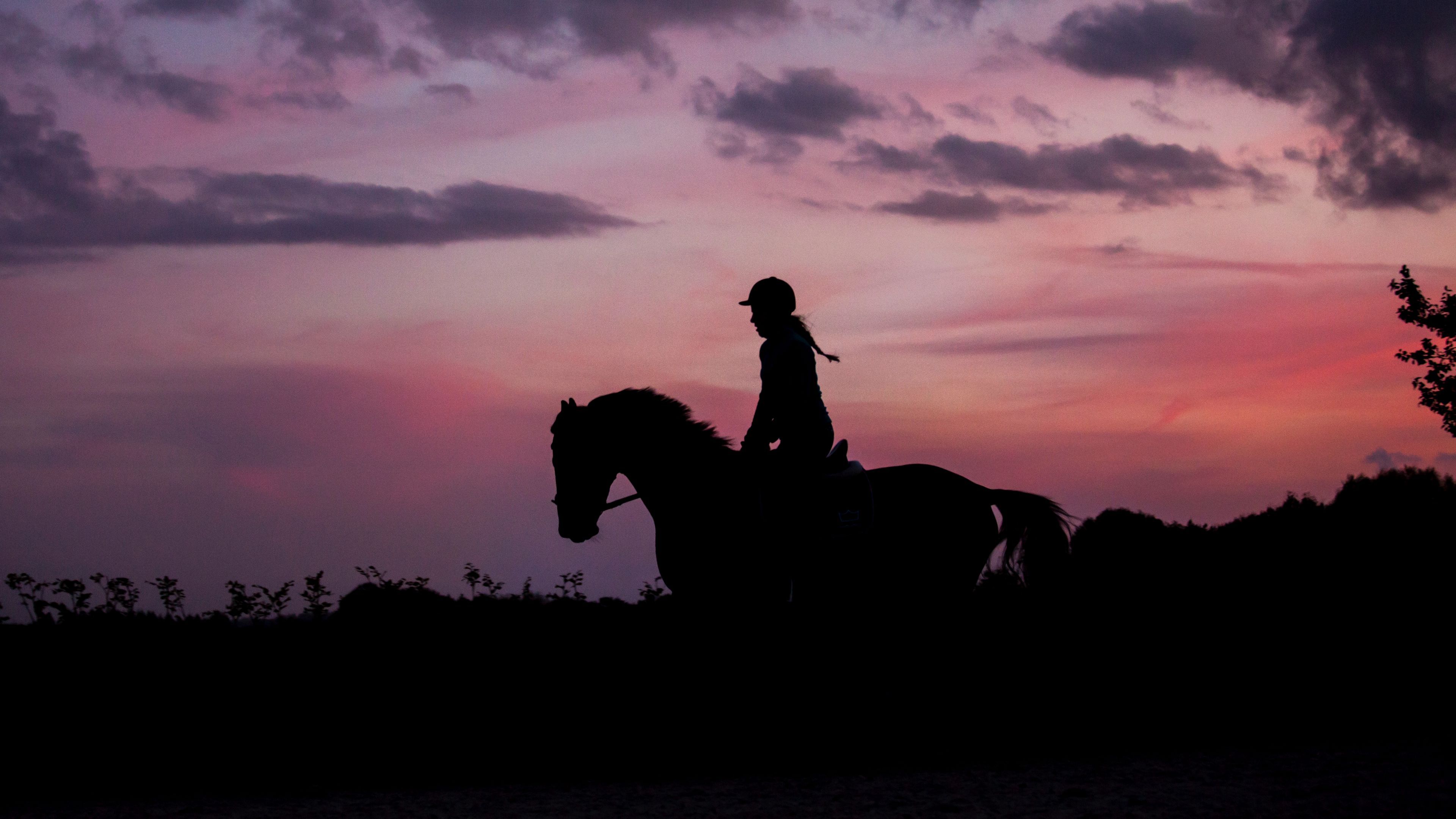 Wallpaper / silhouette, dark, jockey, horse, twilight, equestrian, riding, 4k free download