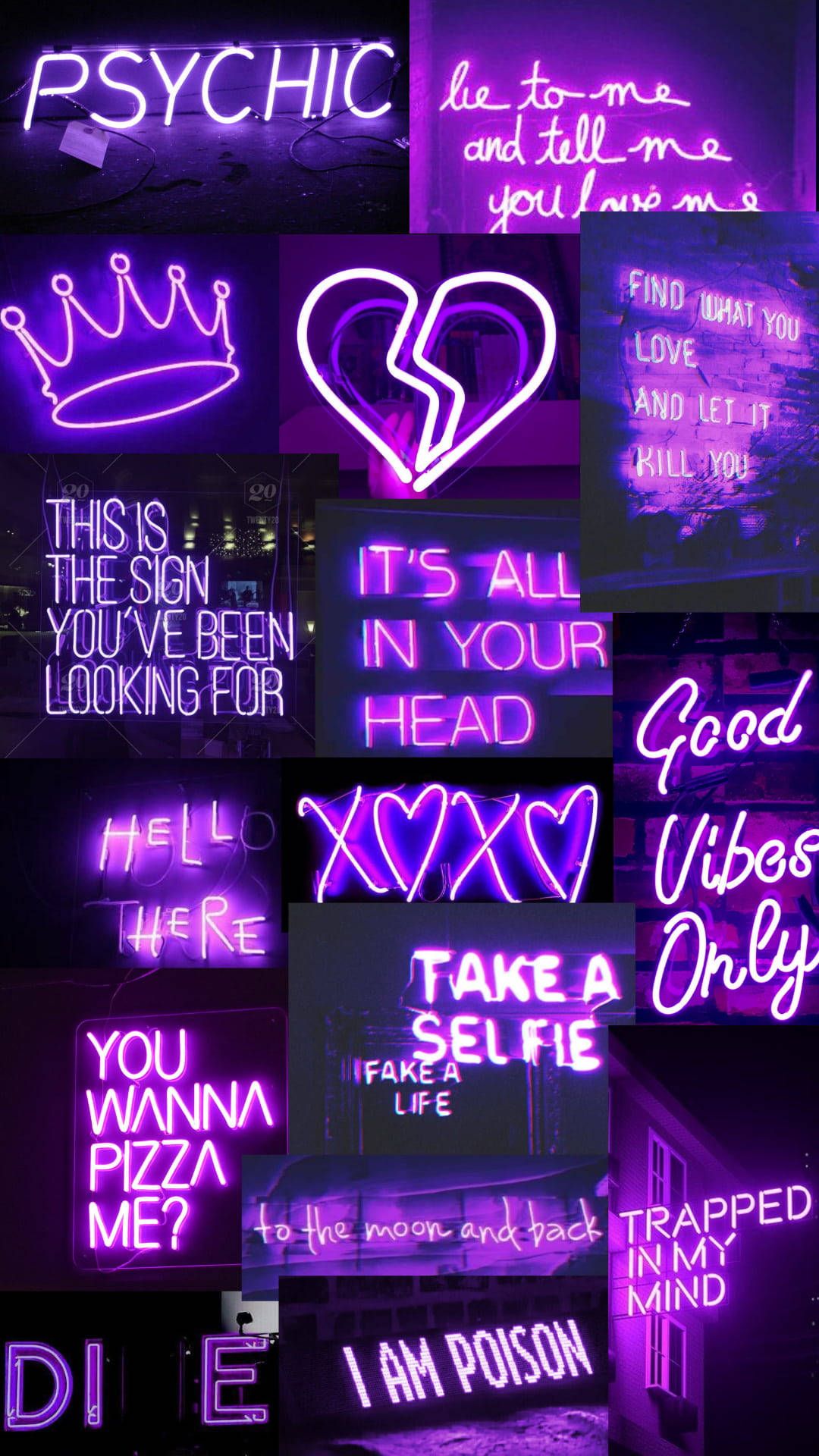 A collection of neon signs with different words on them - Purple, neon, light purple, neon purple, cool, dark purple