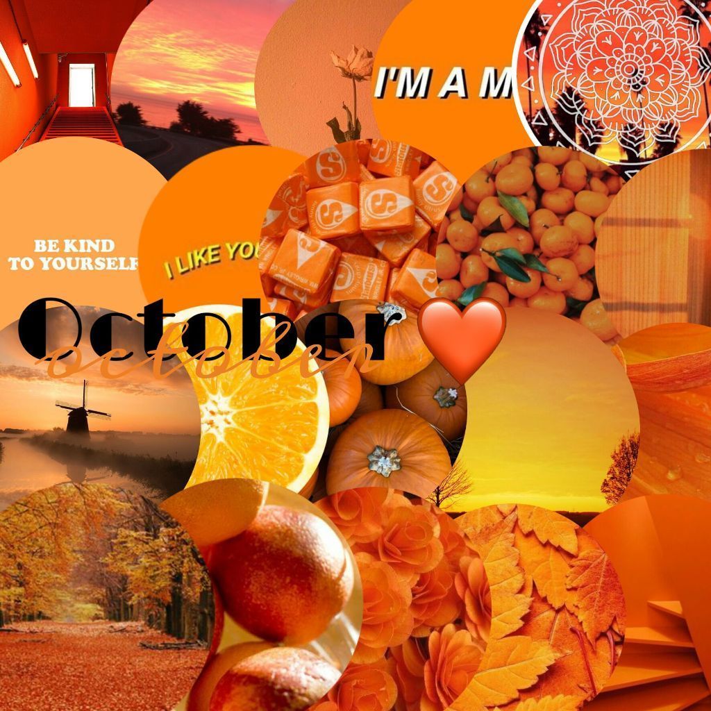 A collage of orange images including pumpkins, leaves, and the sun. - Orange, October