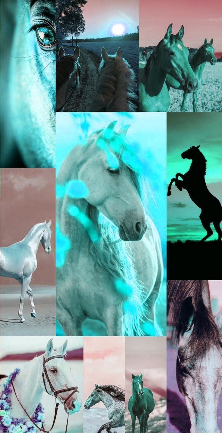 Horse Collage Wallpaper