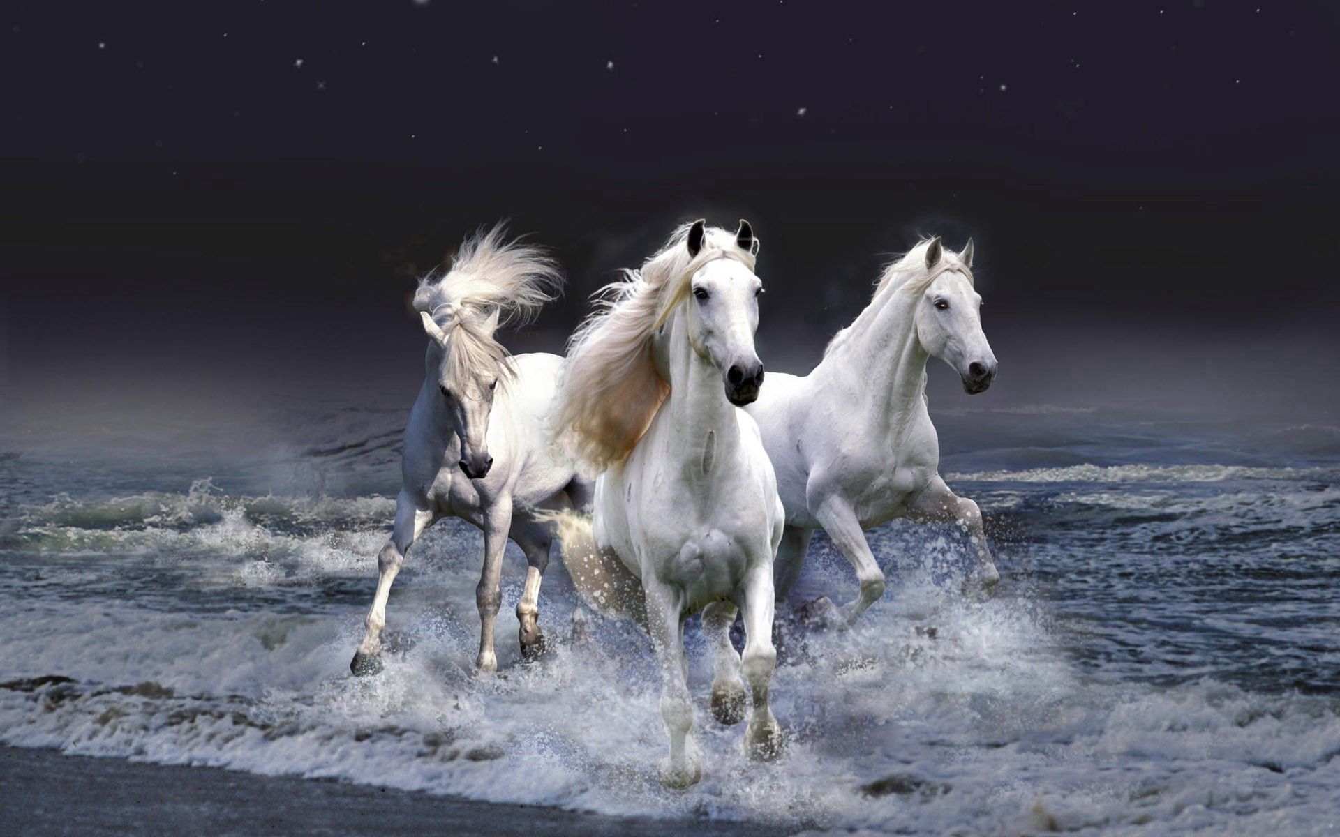 Download Horses wallpaper for mobile phone, free Horses HD picture