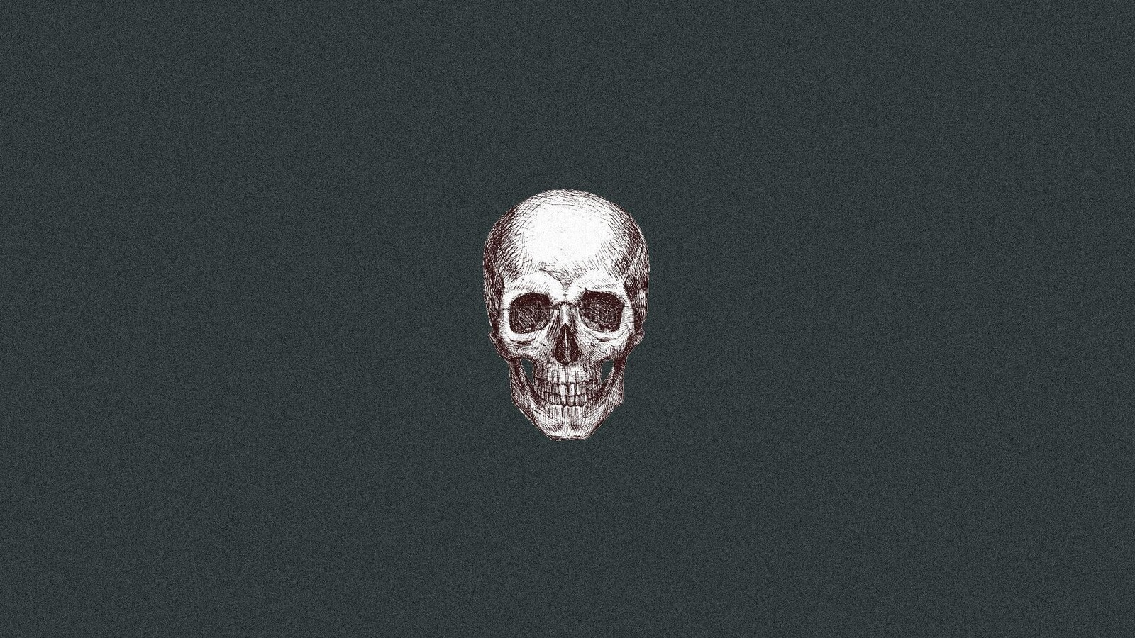 A black and white drawing of an skull - Skeleton