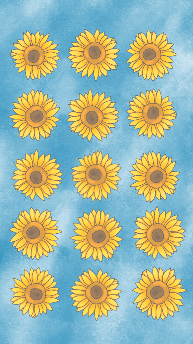 A blue background with yellow sunflowers - Sunflower
