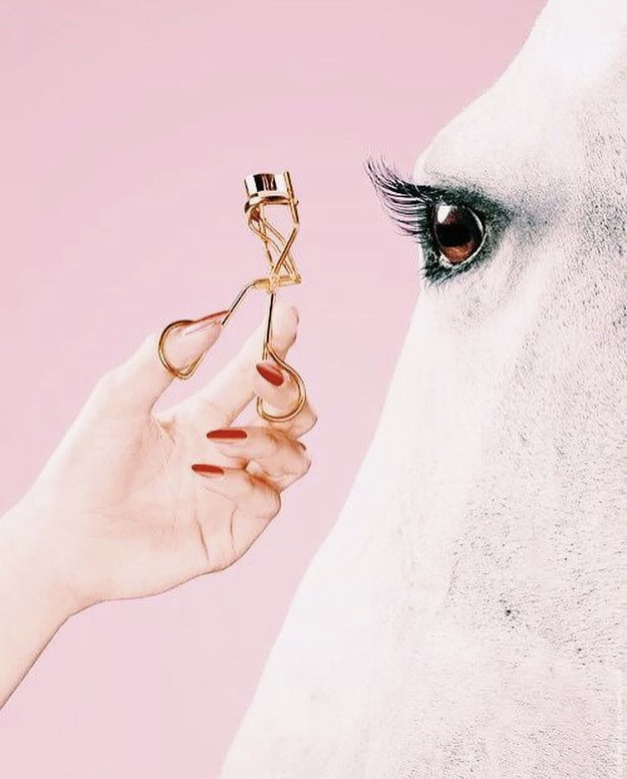 Ash Lash© horsies are harmed with our lashes! Our lashes are free of mink & horse hair, using only synthetic silk