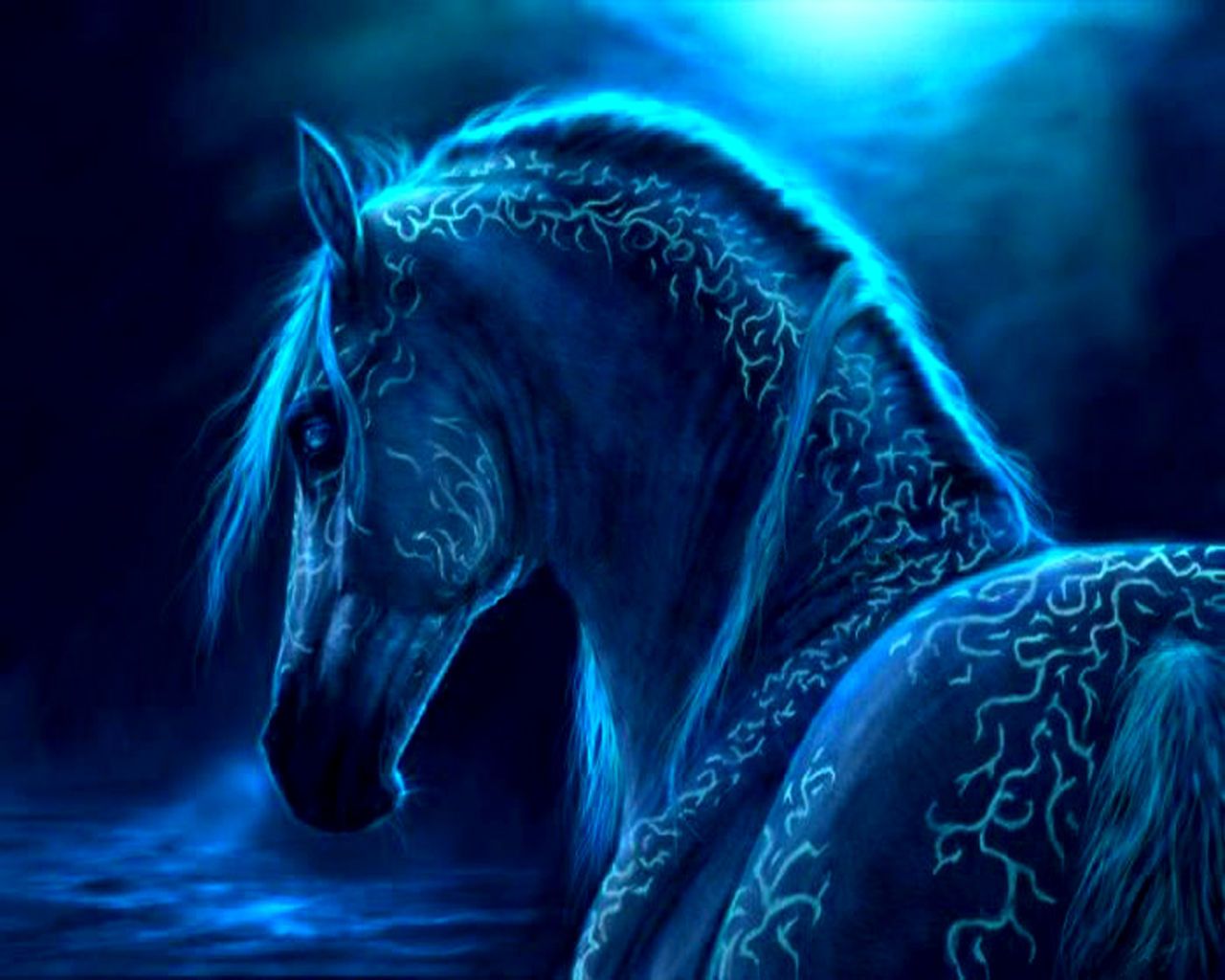 The blue horse wallpaper - Horse