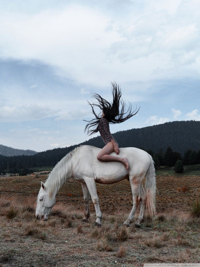 A woman with hair flying in the wind sits on a white horse in a field. - Horse