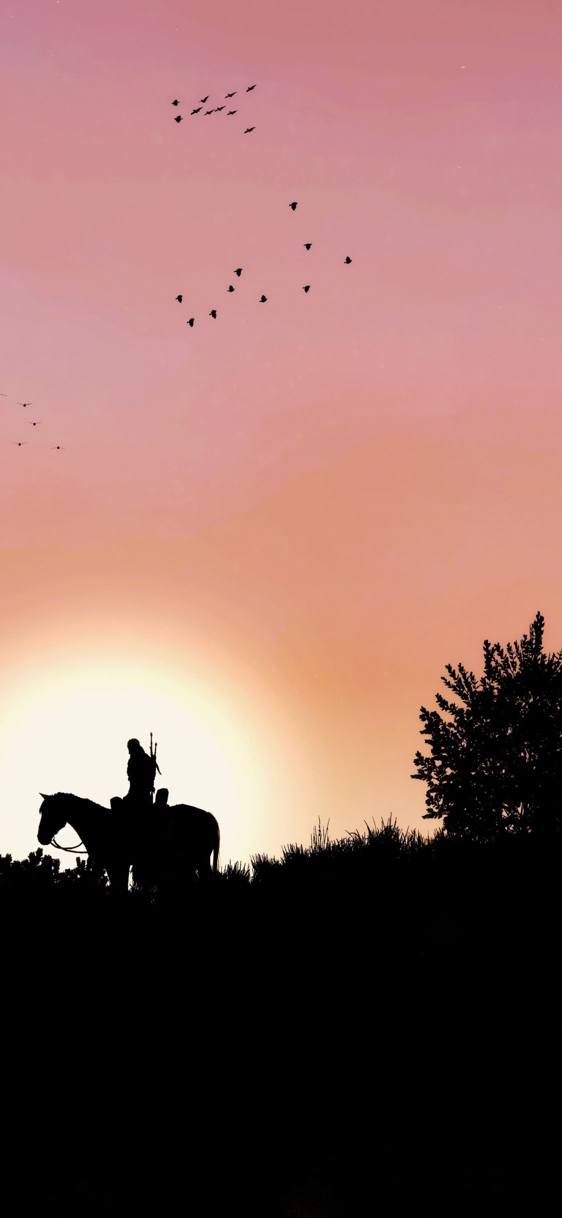 A man riding on horseback with birds flying in the sky - Horse