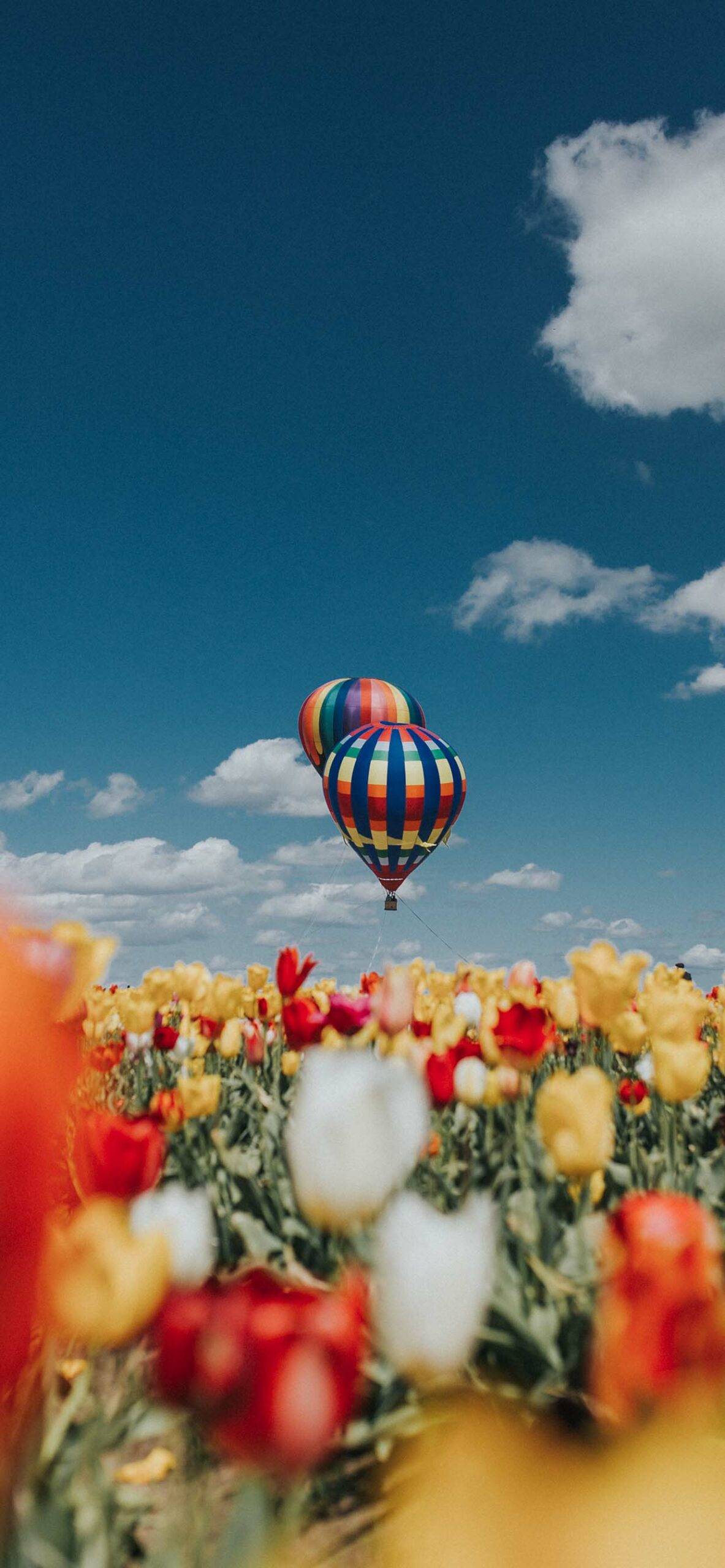 A hot air balloon flying over some flowers - Spring