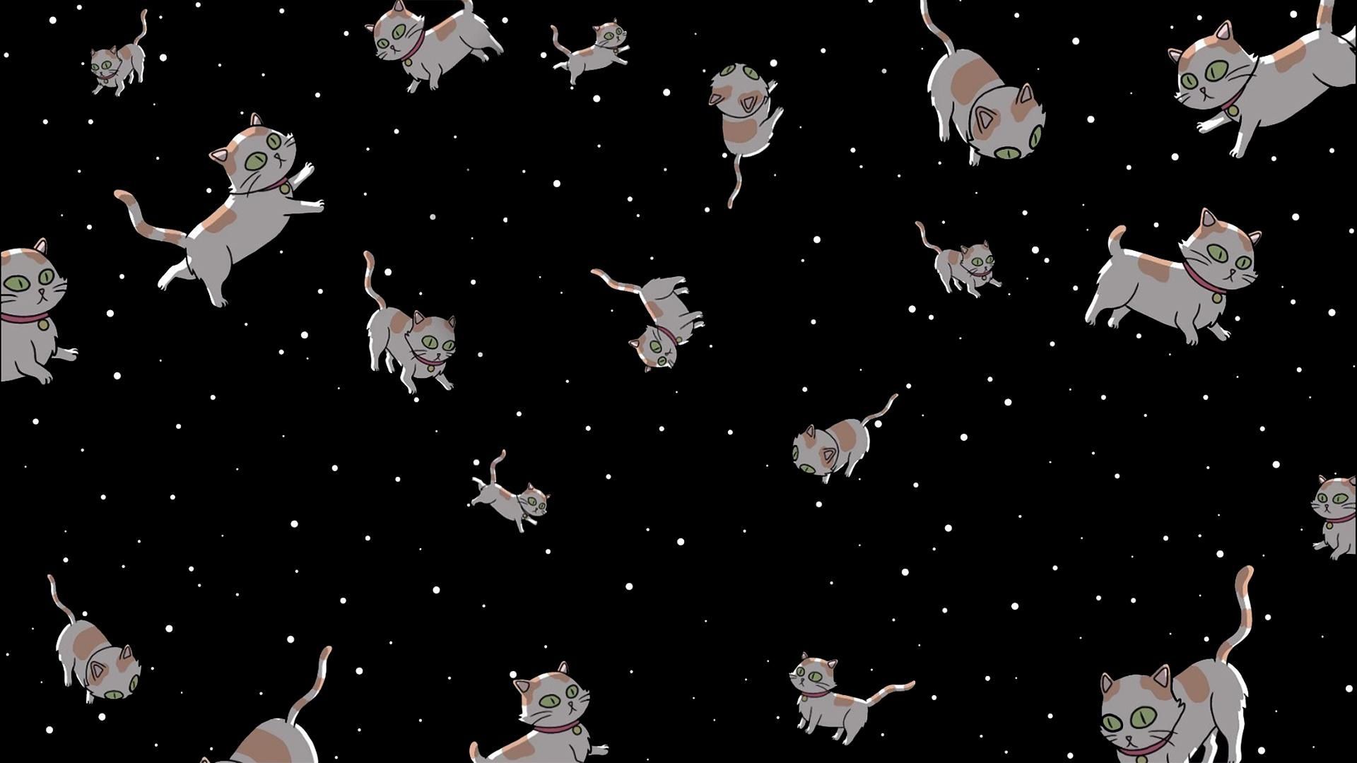 Wallpaper cat in the space - Cat