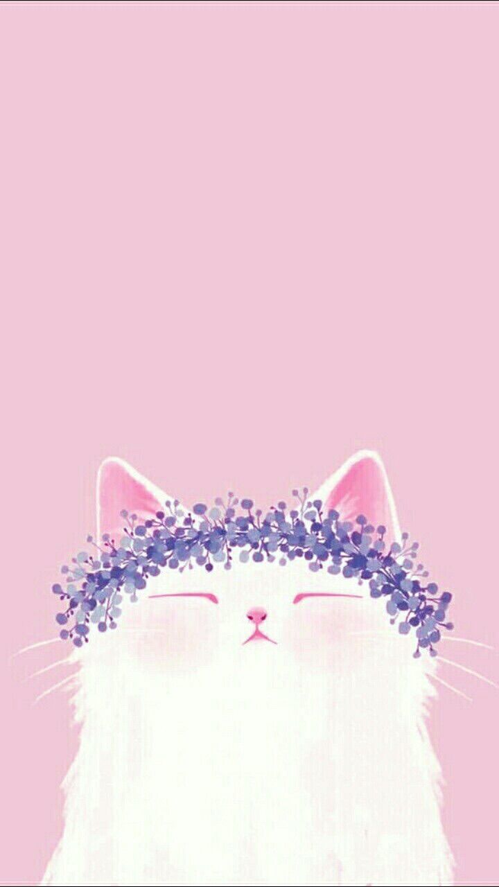 Image about cat in lockscreen.
