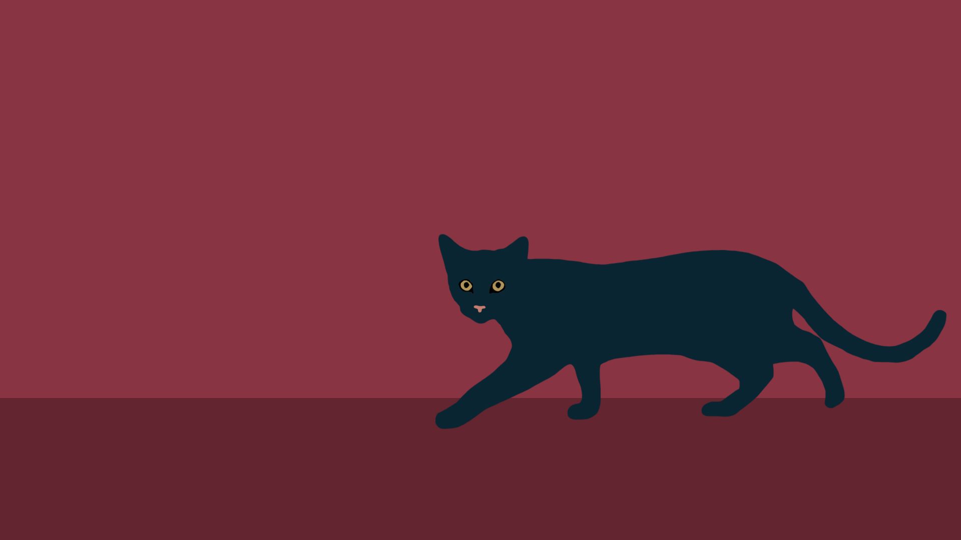 A black cat walking on the floor - Cat