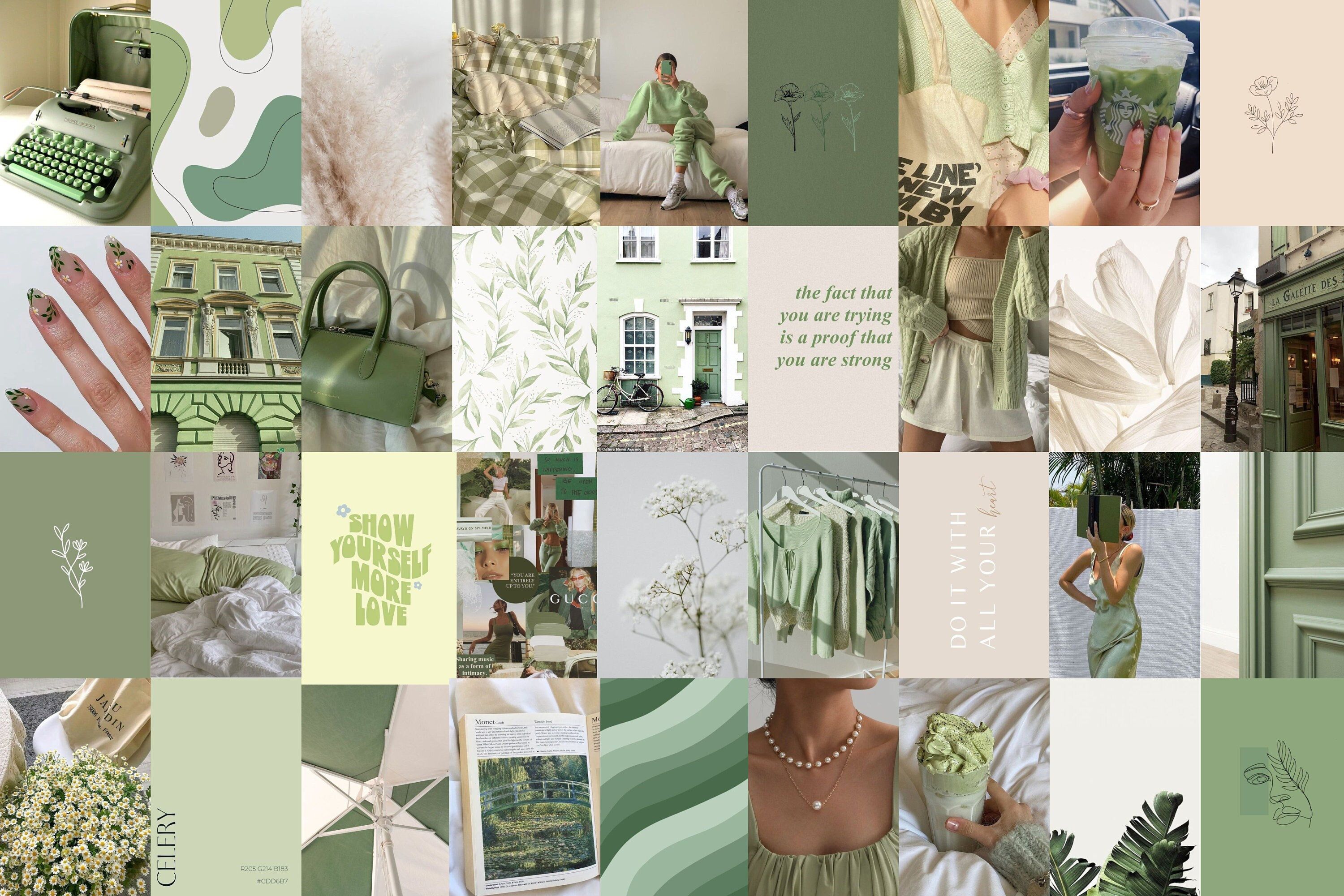 A collage of photos in green and beige tones. - Mint green, pastel green