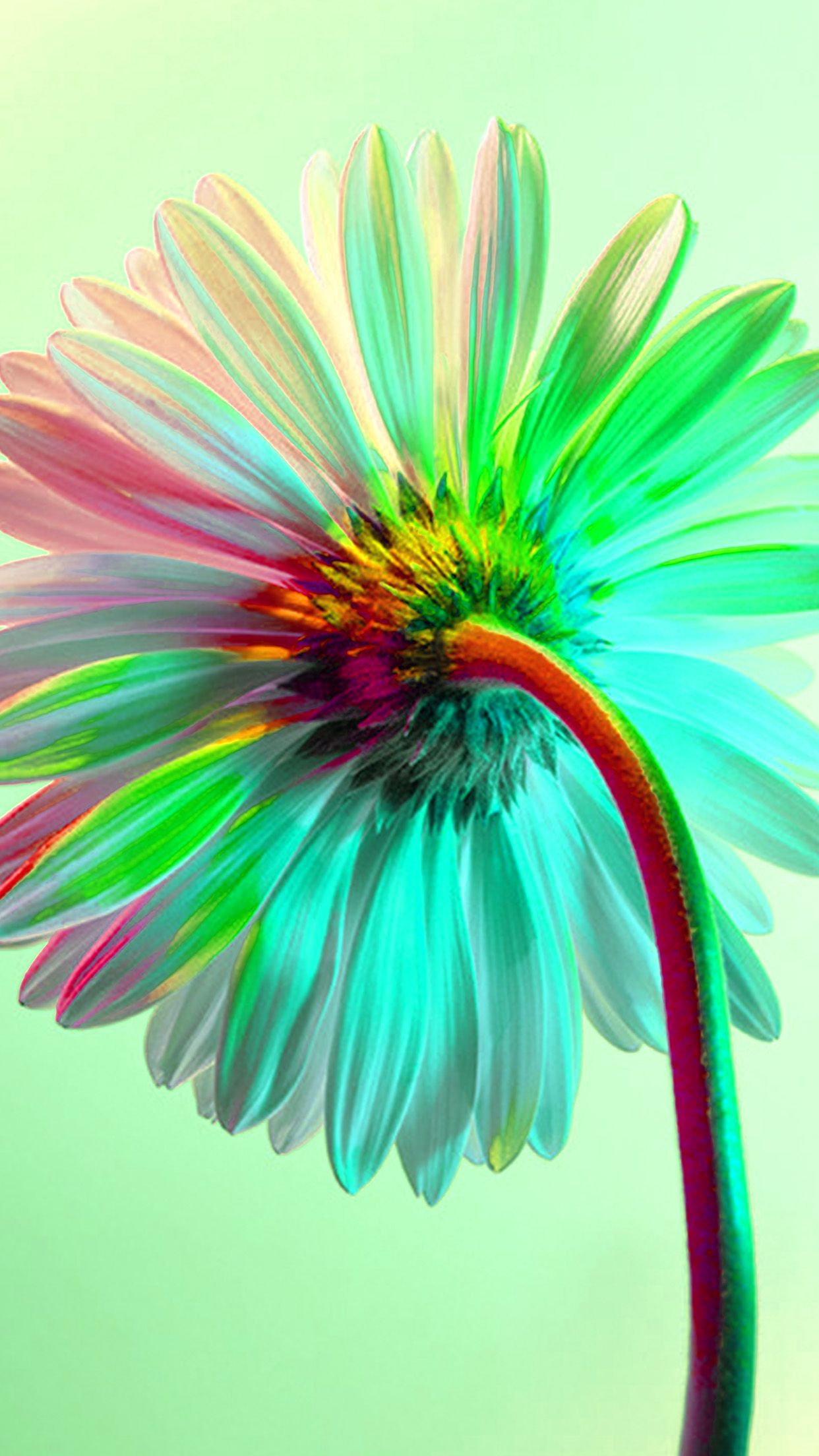iPhone X wallpaper. art flower rainbow green