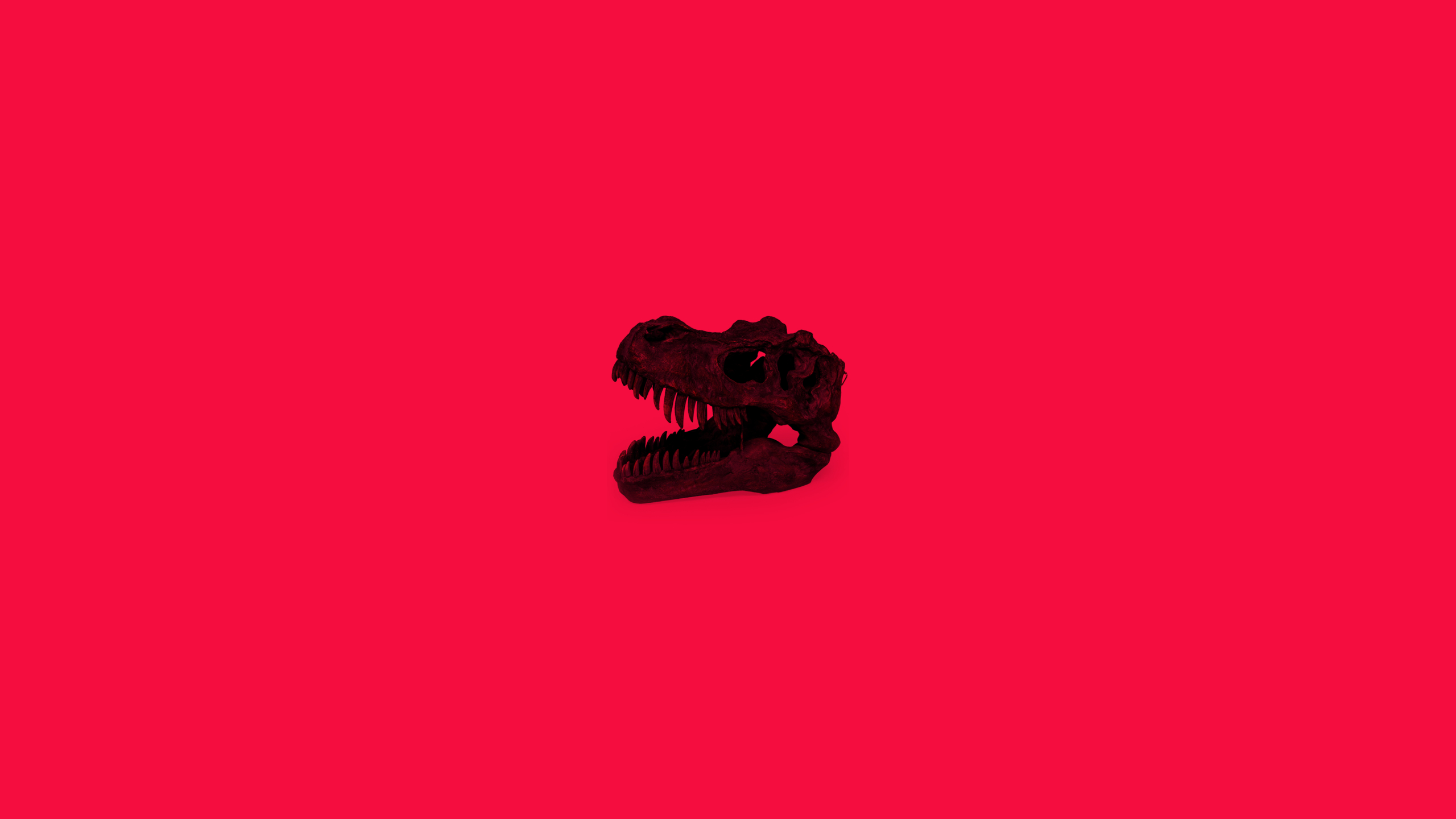 Dinosaur Simple Minimalist 1440P Resolution Wallpaper, HD Minimalist 4K Wallpaper, Image, Photo and Background