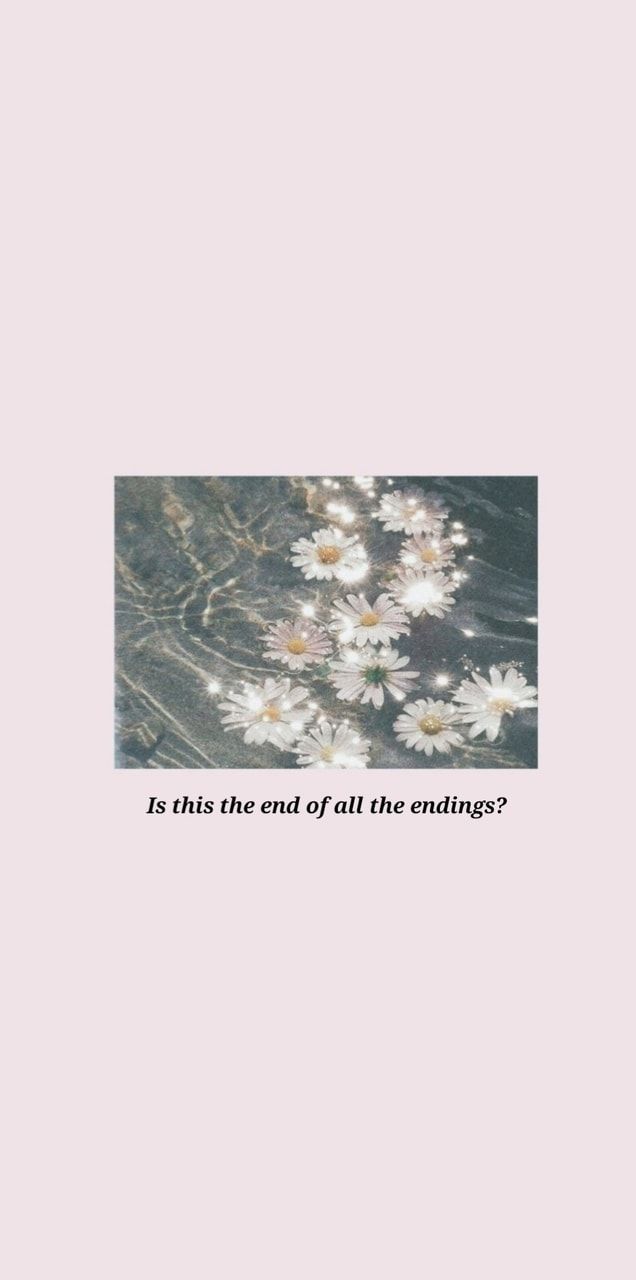 Aesthetic wallpaper with quote and flowers. - Taylor Swift