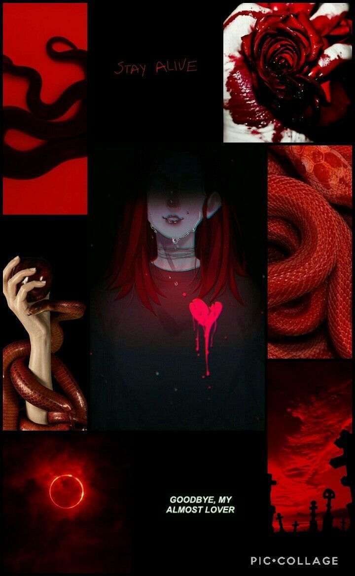 A collage of pictures with red and black - Blood, snake