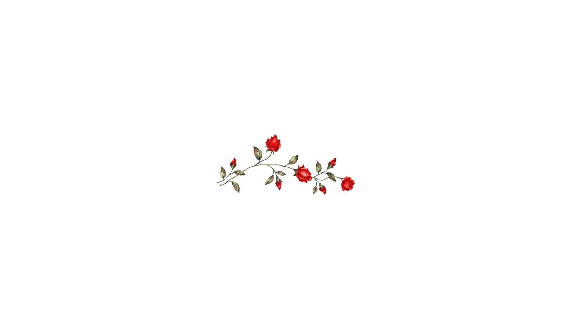 A red flower with leaves on it - White, cute white