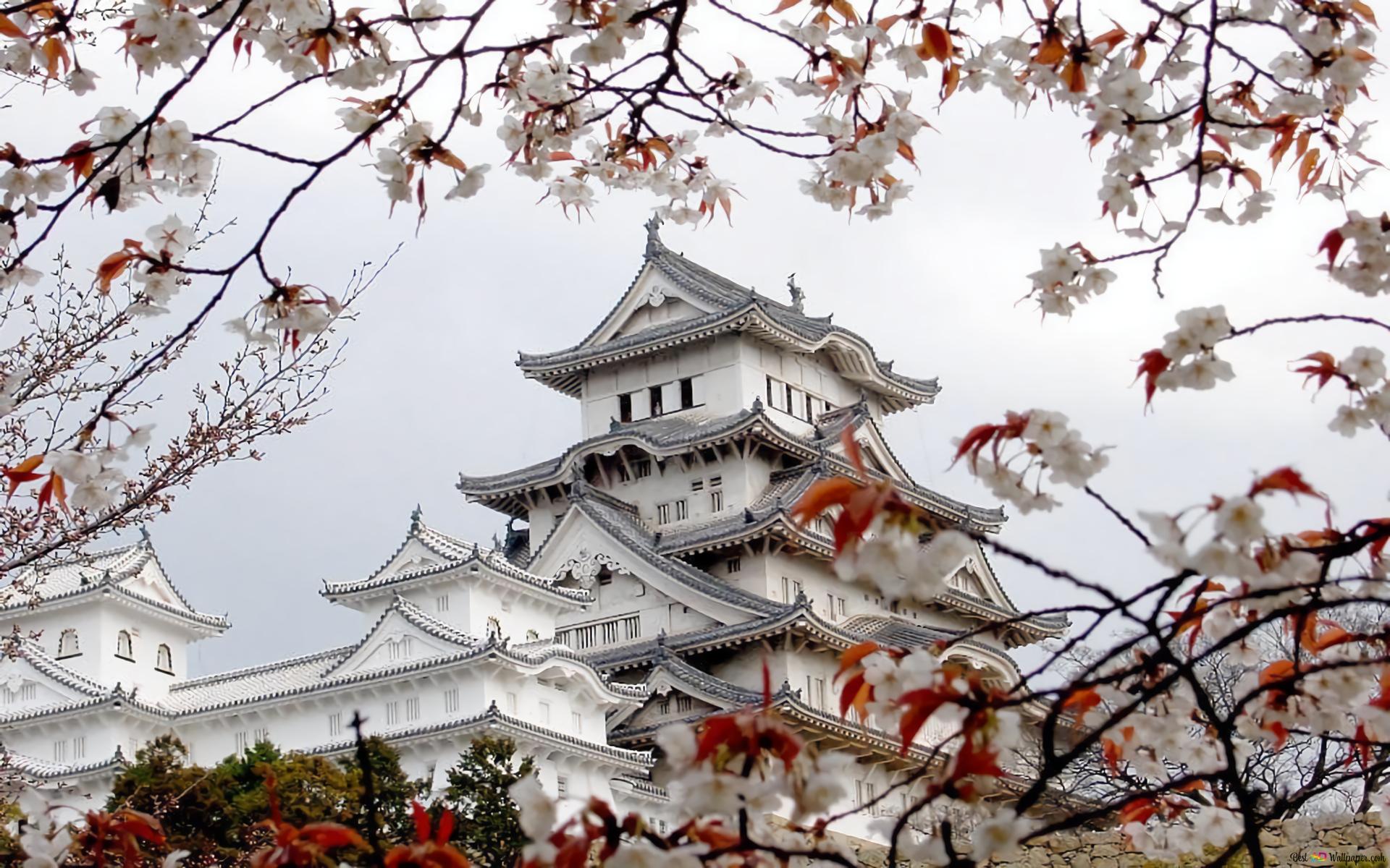 Japan himeji castle HD wallpaper download
