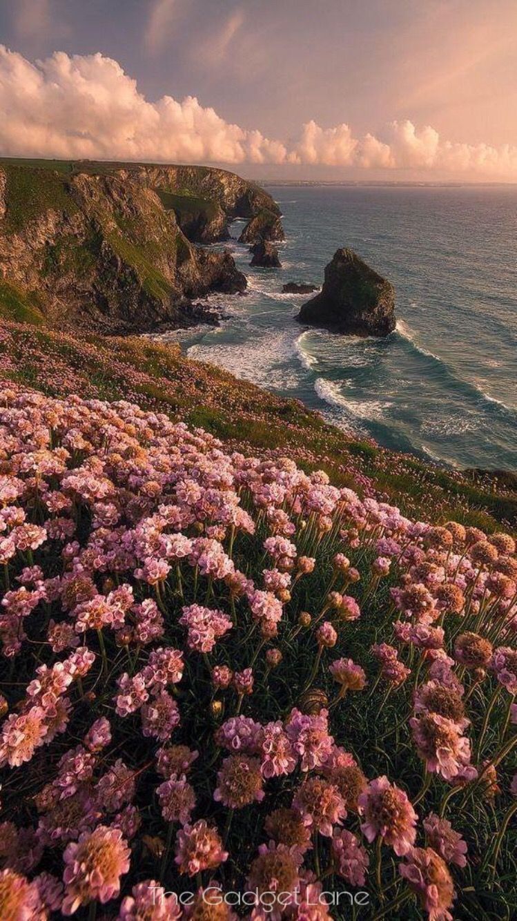 Nature. Wallpaper. iPhone. Android. Nature aesthetic, Nature photography, Landscape photography