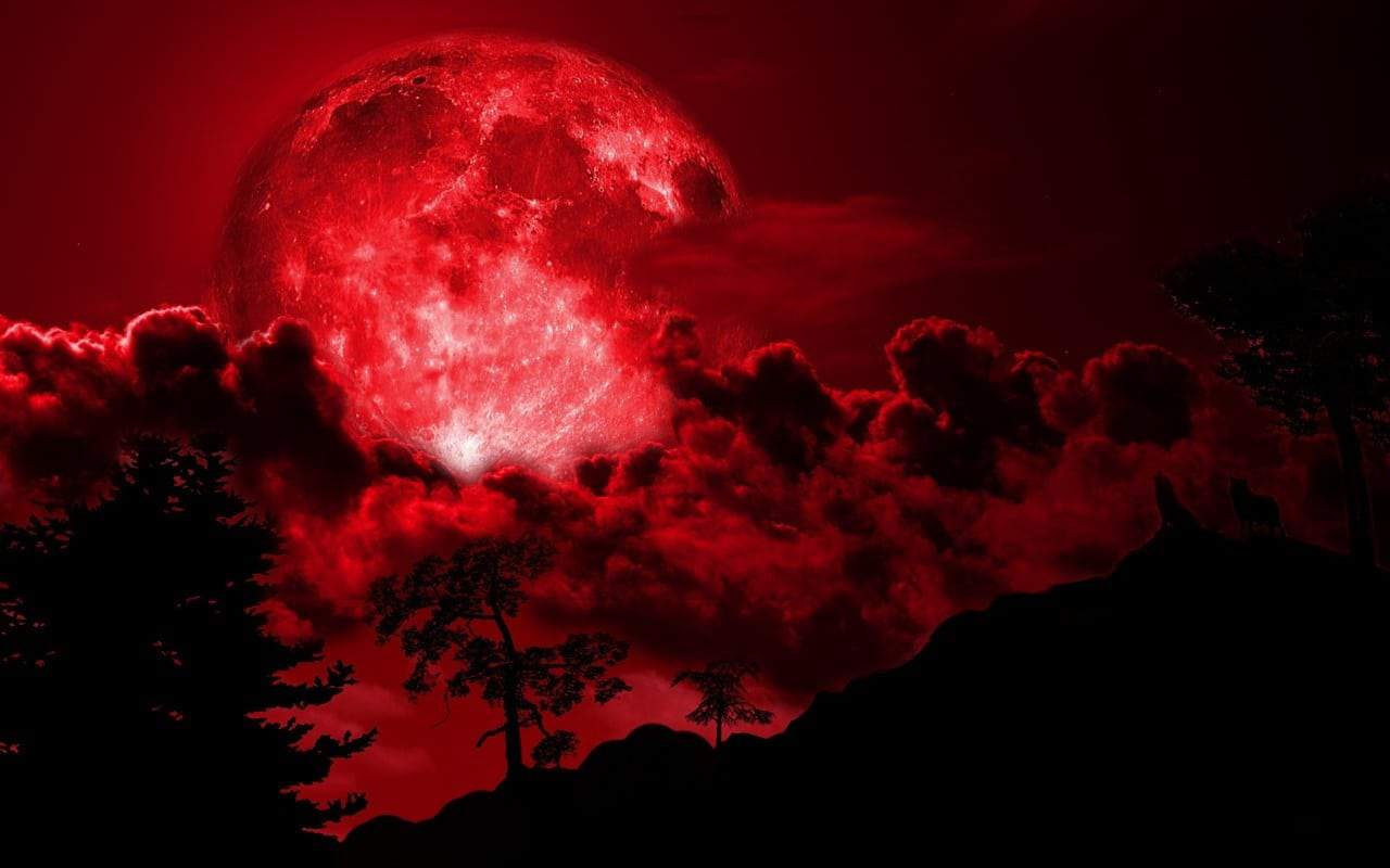 A red full moon over a mountain with trees. - Blood, crimson