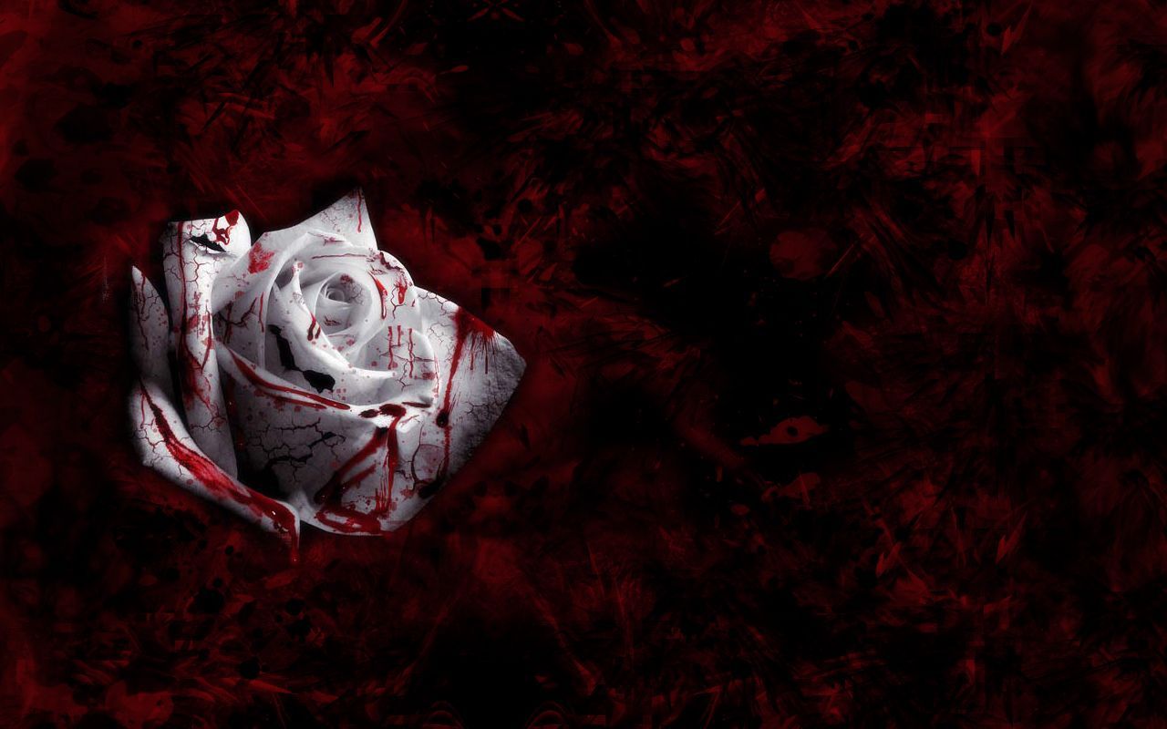 A red rose with blood on it - Blood