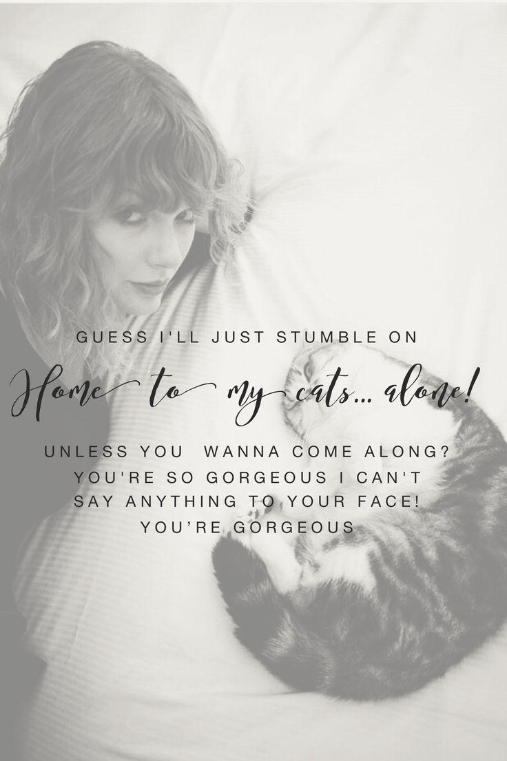 Taylor Swift is looking at a cat and singing 