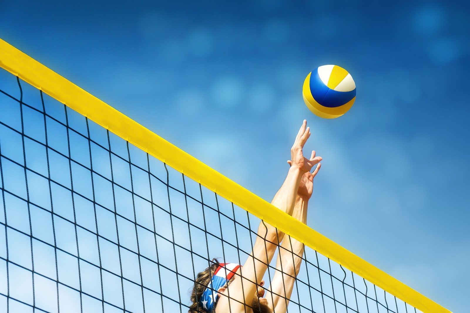 Volleyball Sports Wallpaper Download