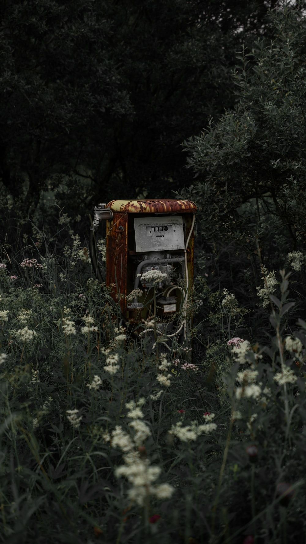 A refrigerator sitting in the middle of some bushes - Gothic