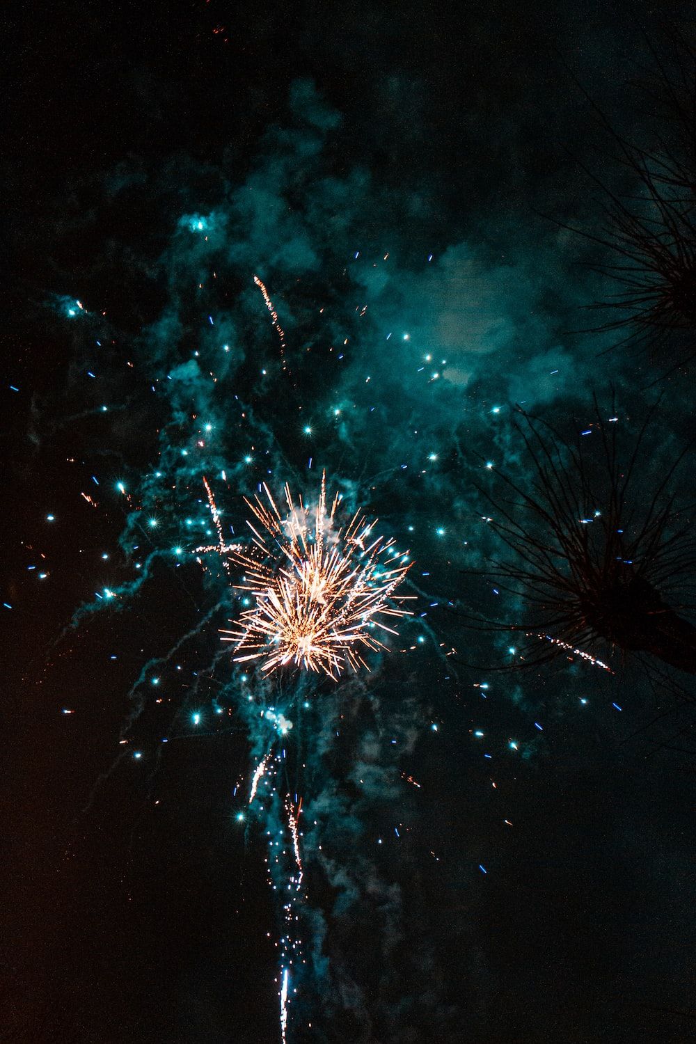 A firework is exploding in the sky - New Year