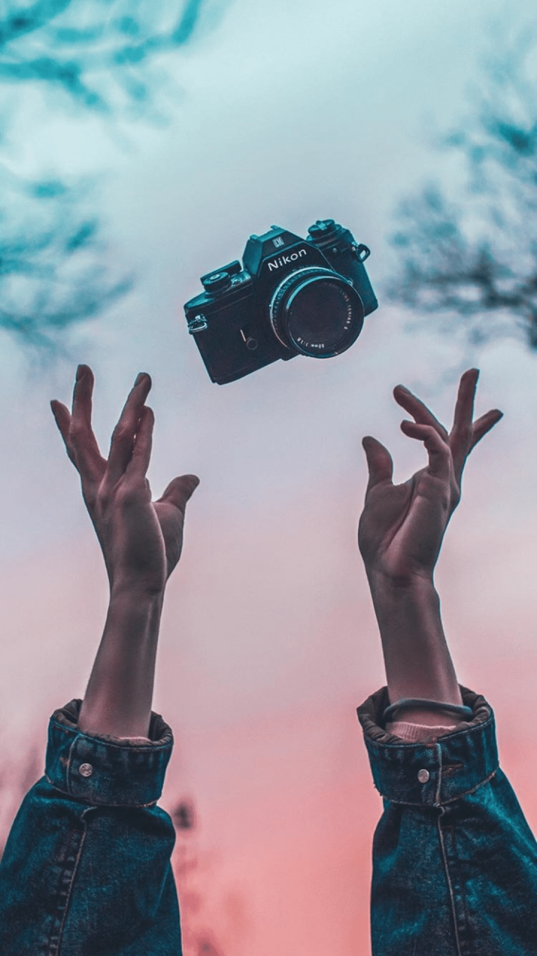 A person holding up their hands with an object in them - Photography