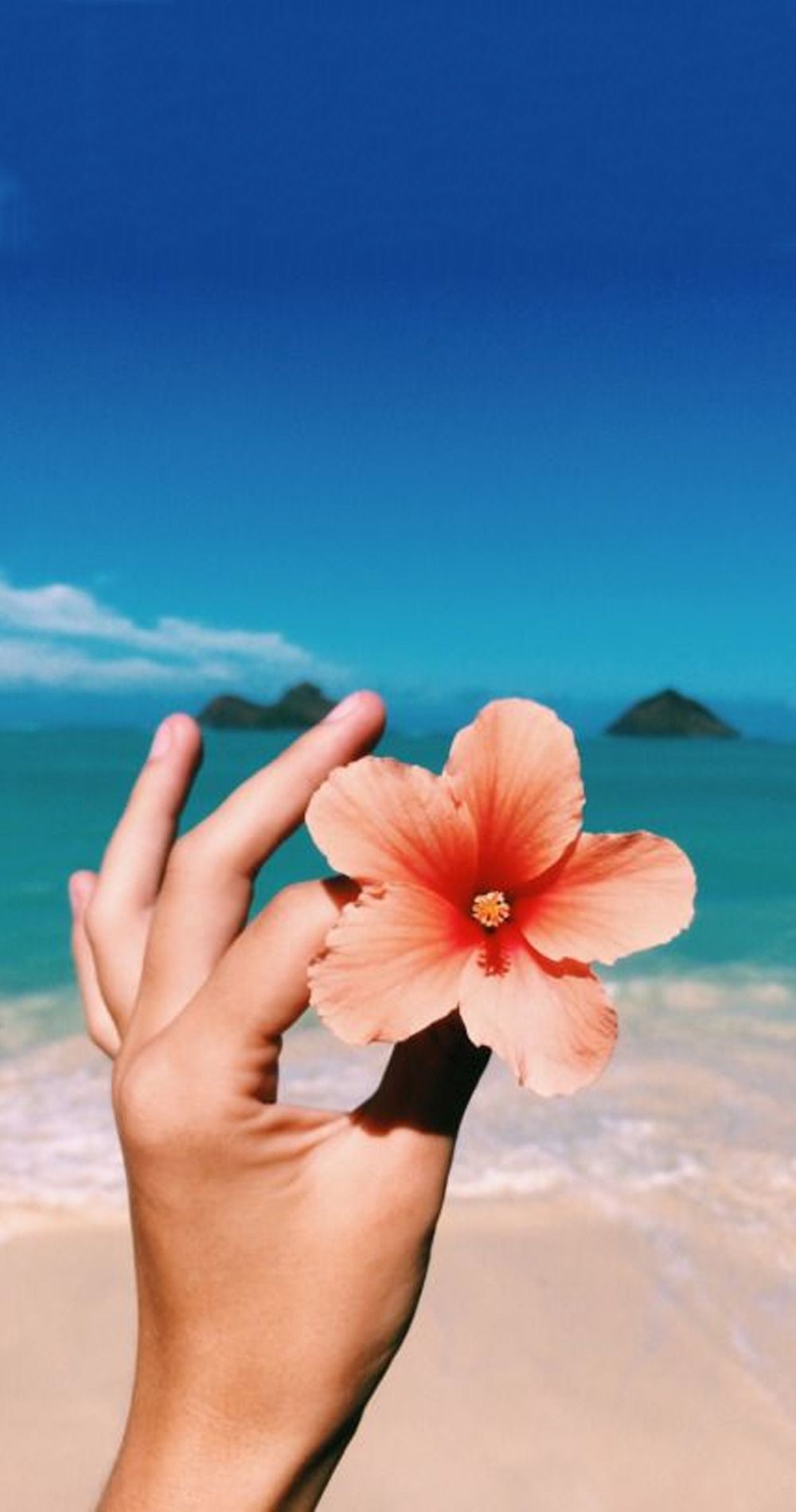 A person holding up an orange flower on the beach - Tropical