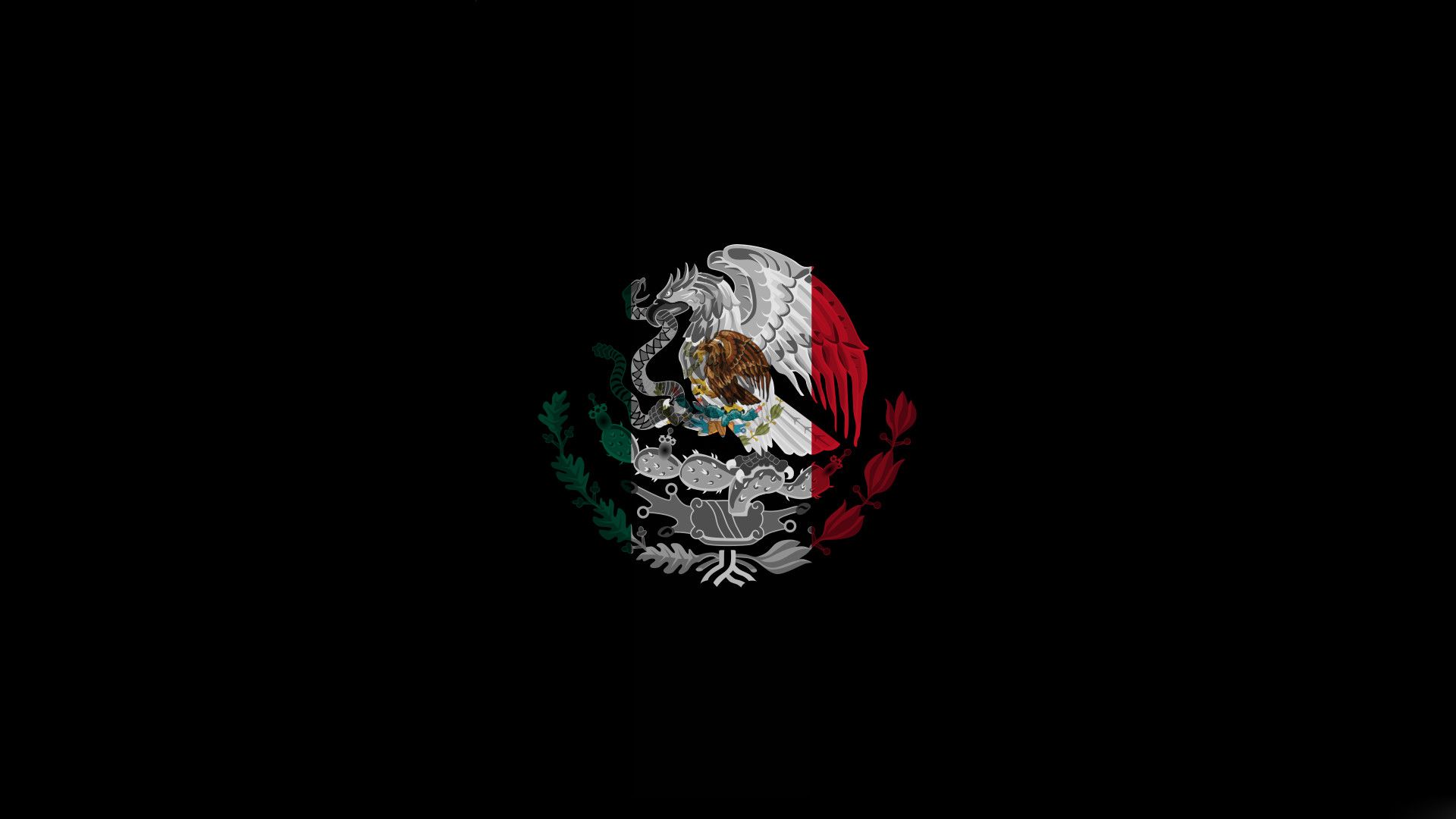 The mexican flag on a black background - Mexico