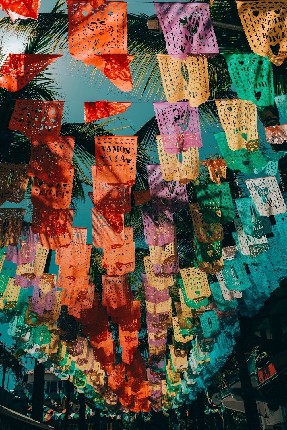 Colorful paper flags hanging from a palm tree - Mexico