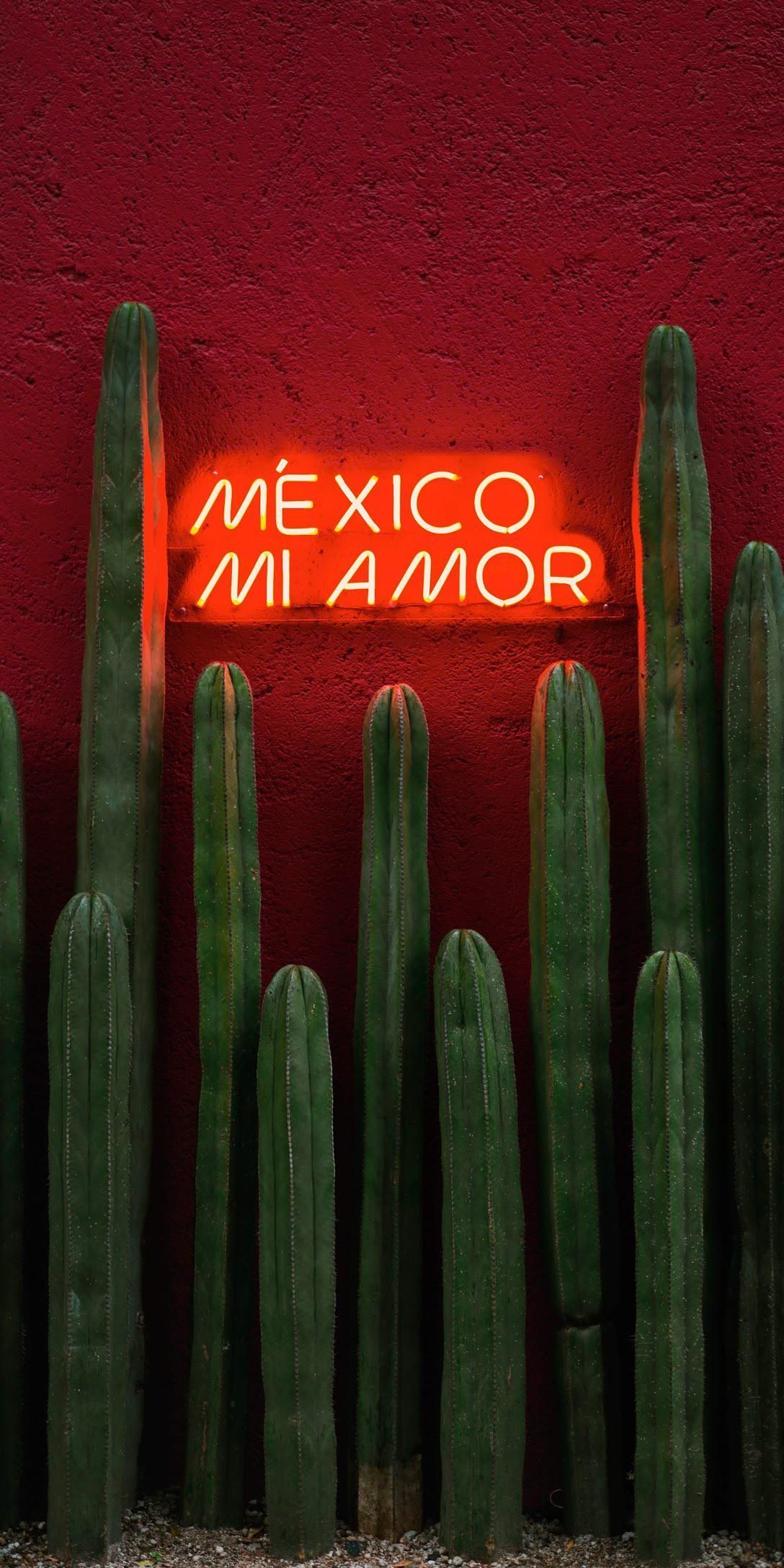 Mexico, my love, neon sign with cacti in front of a red wall - Mexico